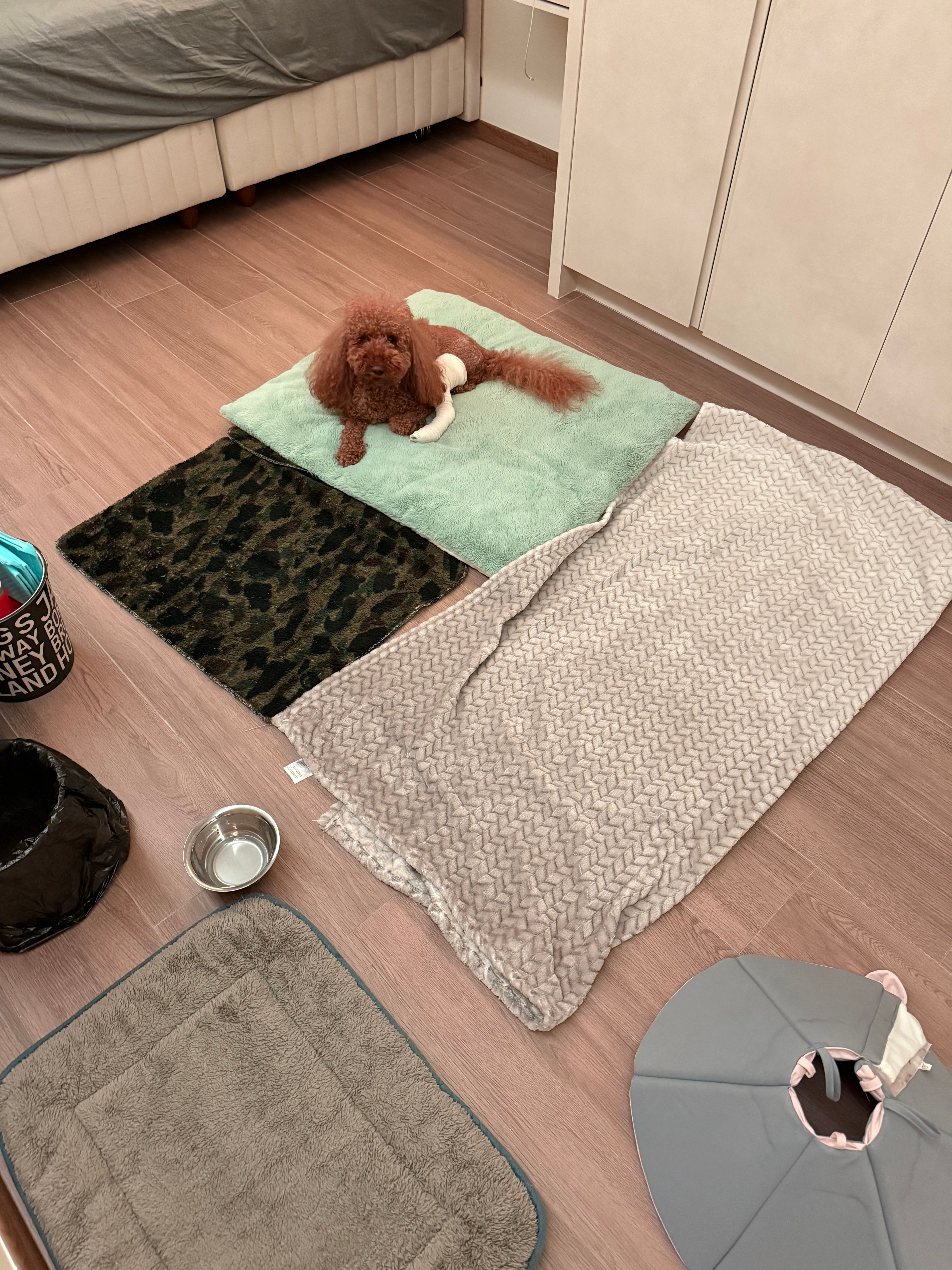 image-15