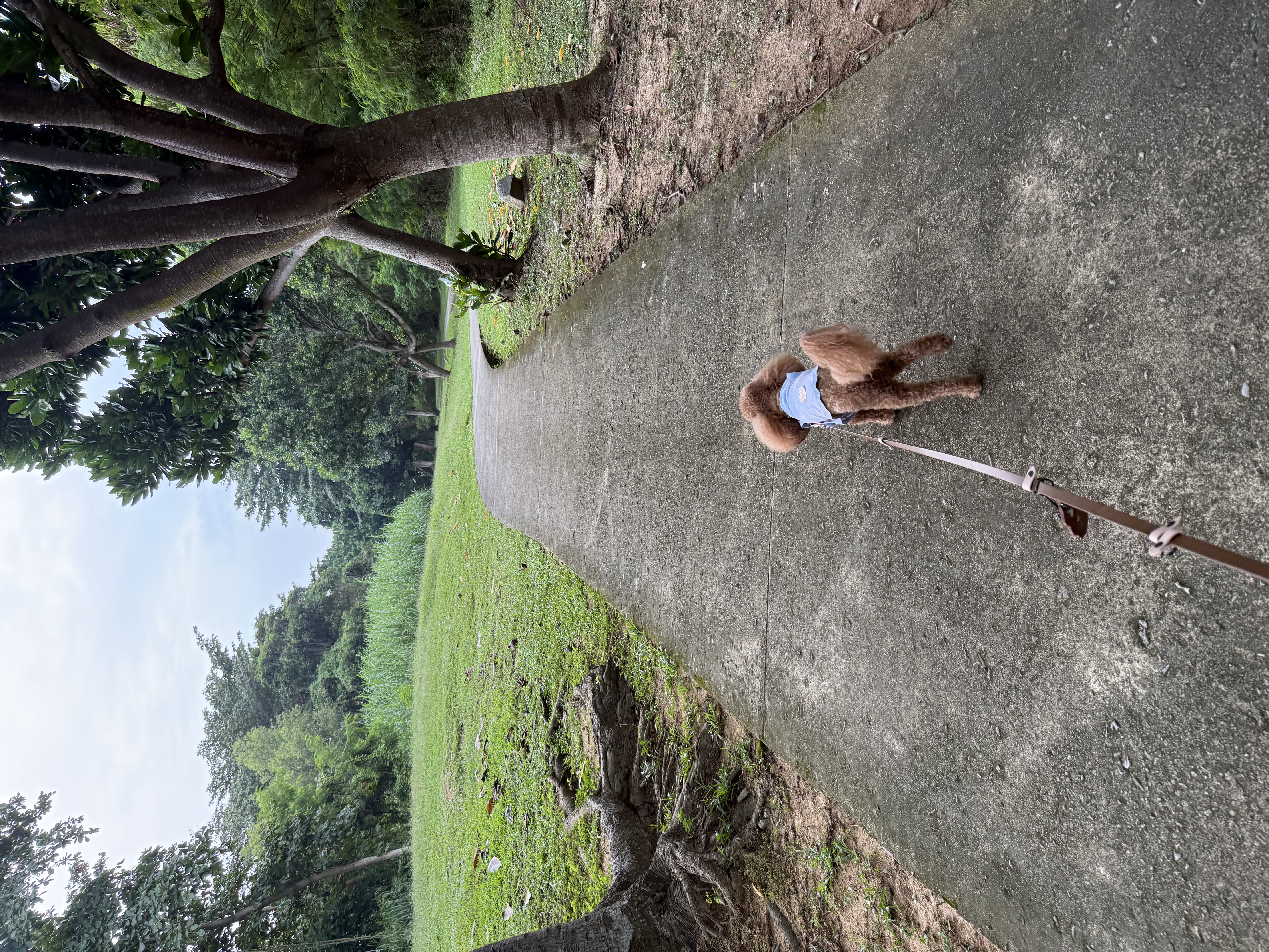 image-12