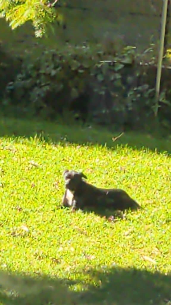 image-5