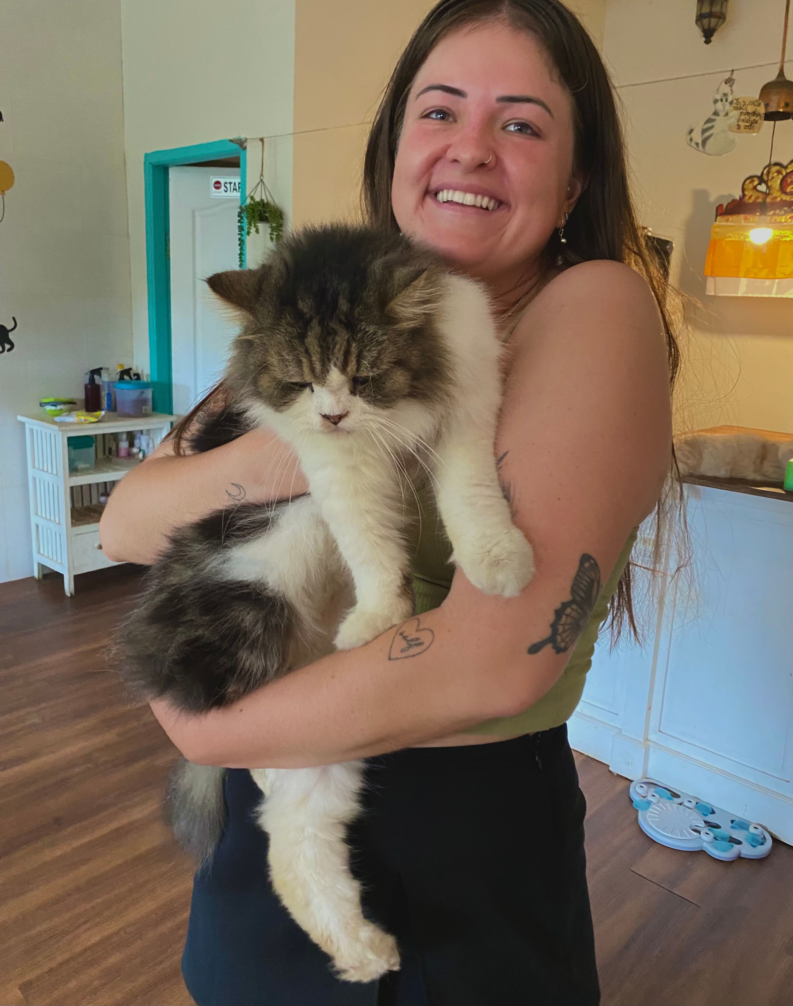 image-2