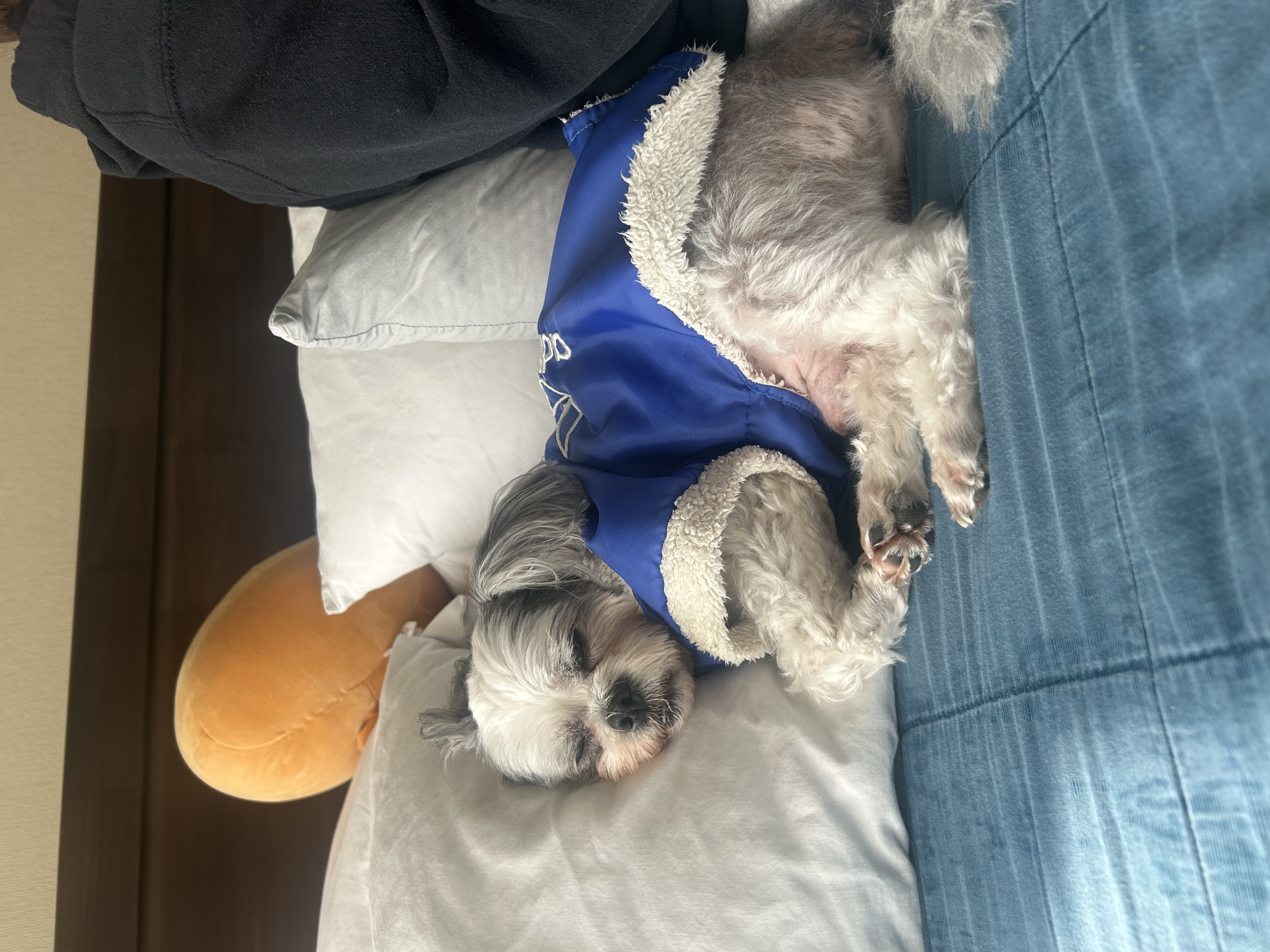 image-10
