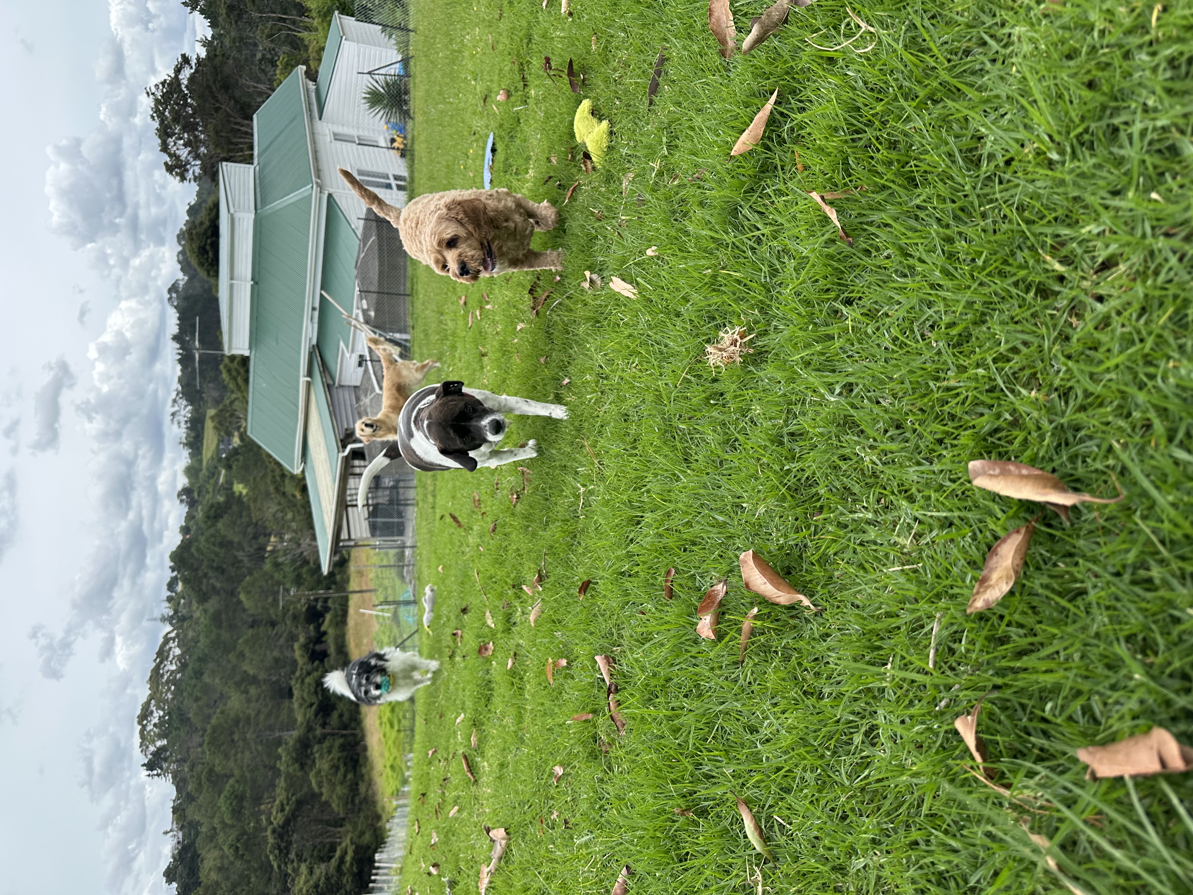 image-33