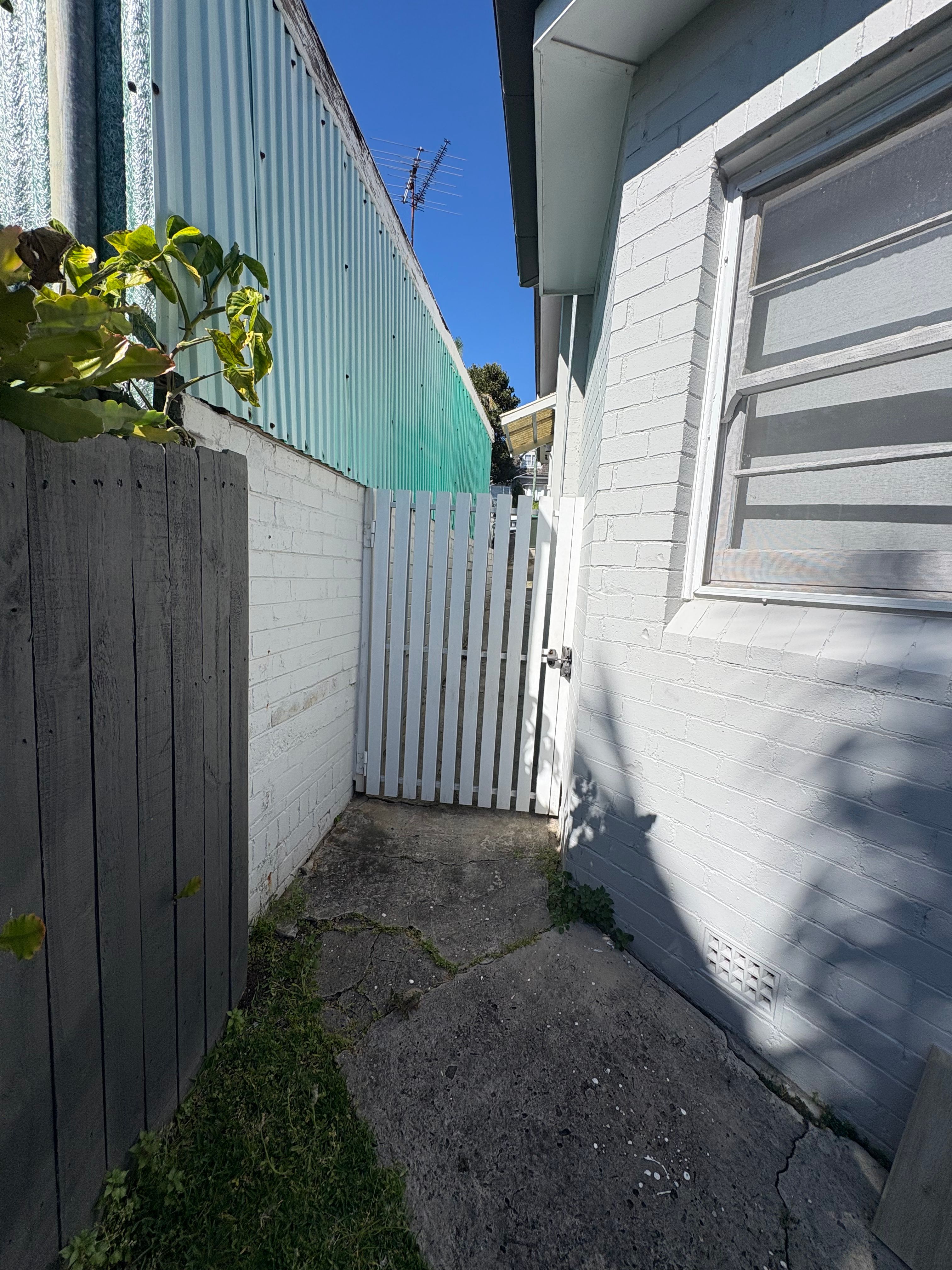image-16