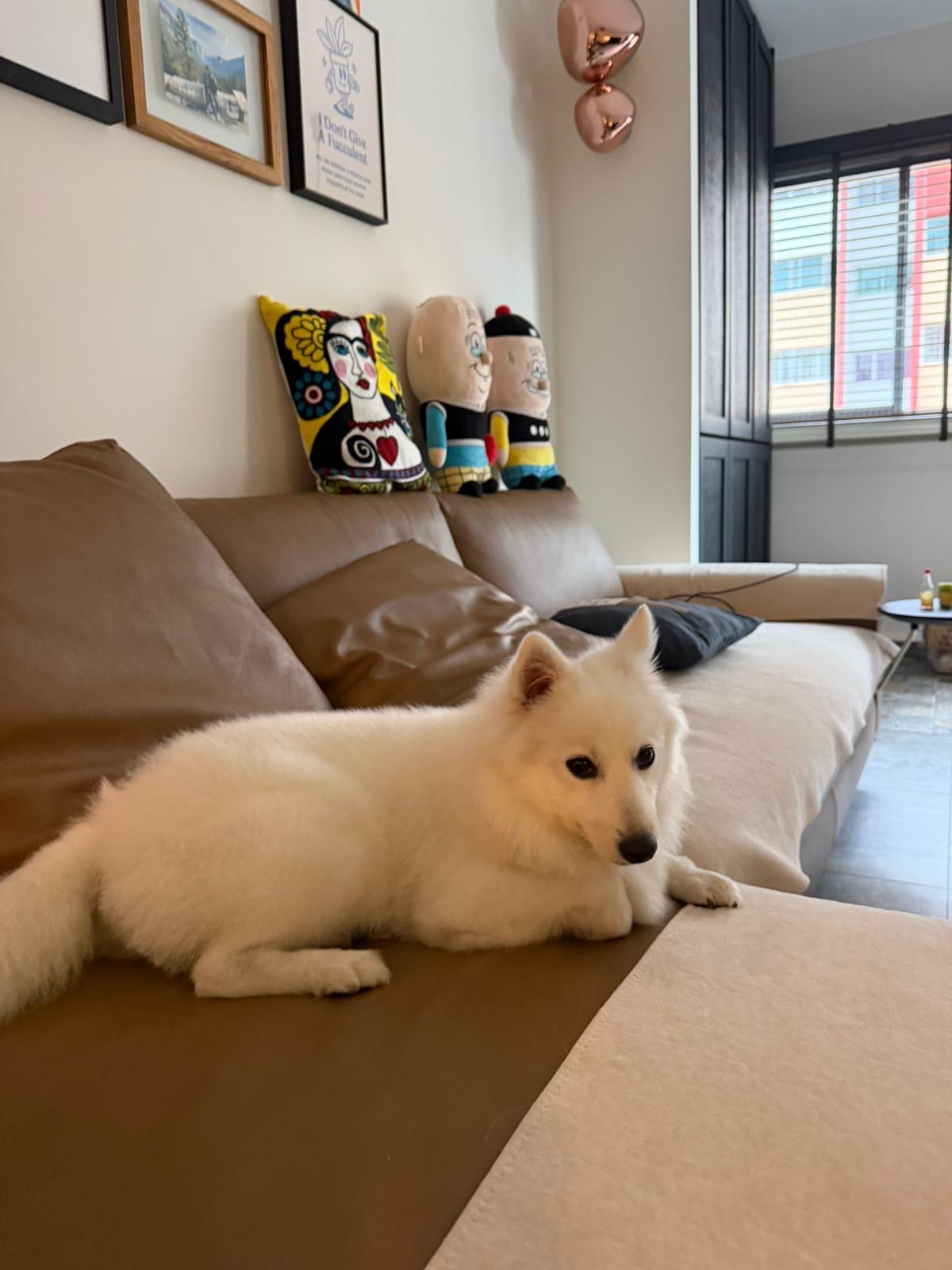 image-10