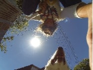 image-2