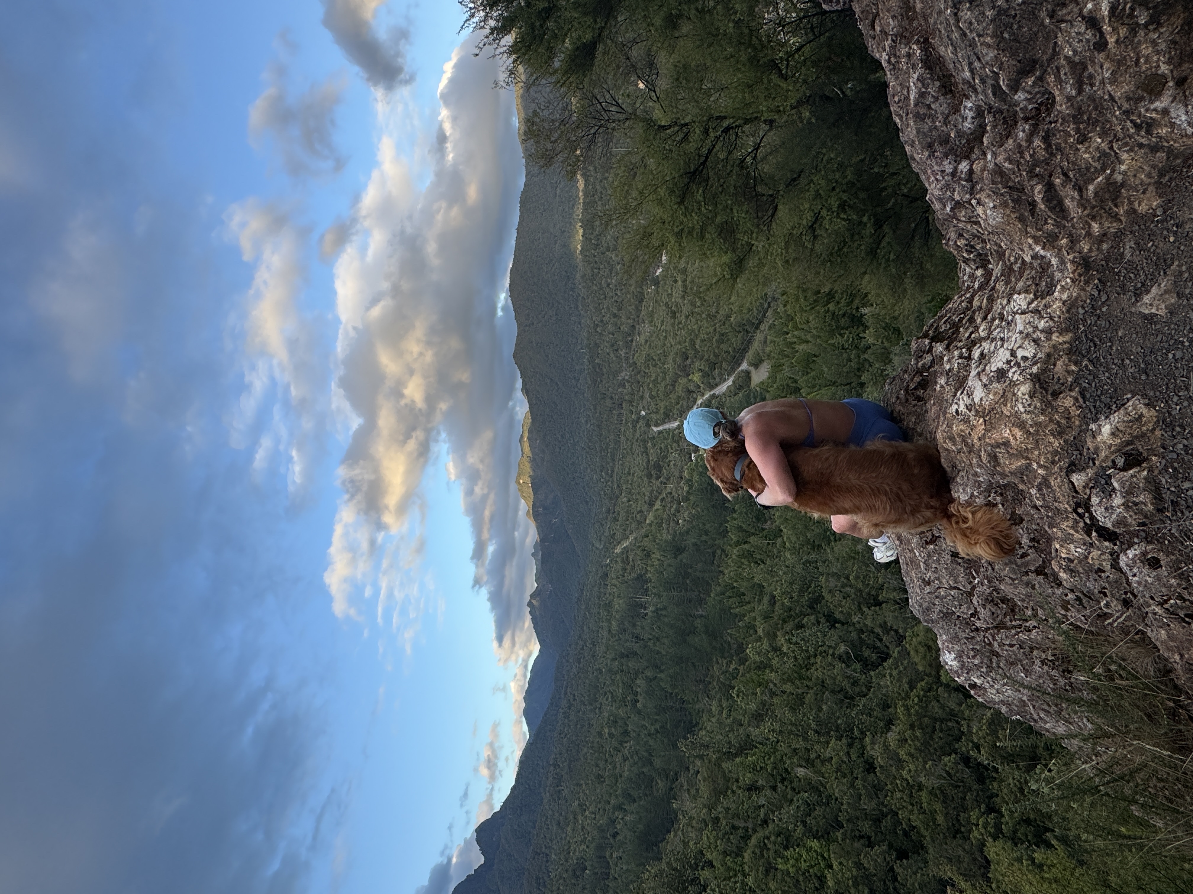 image-5