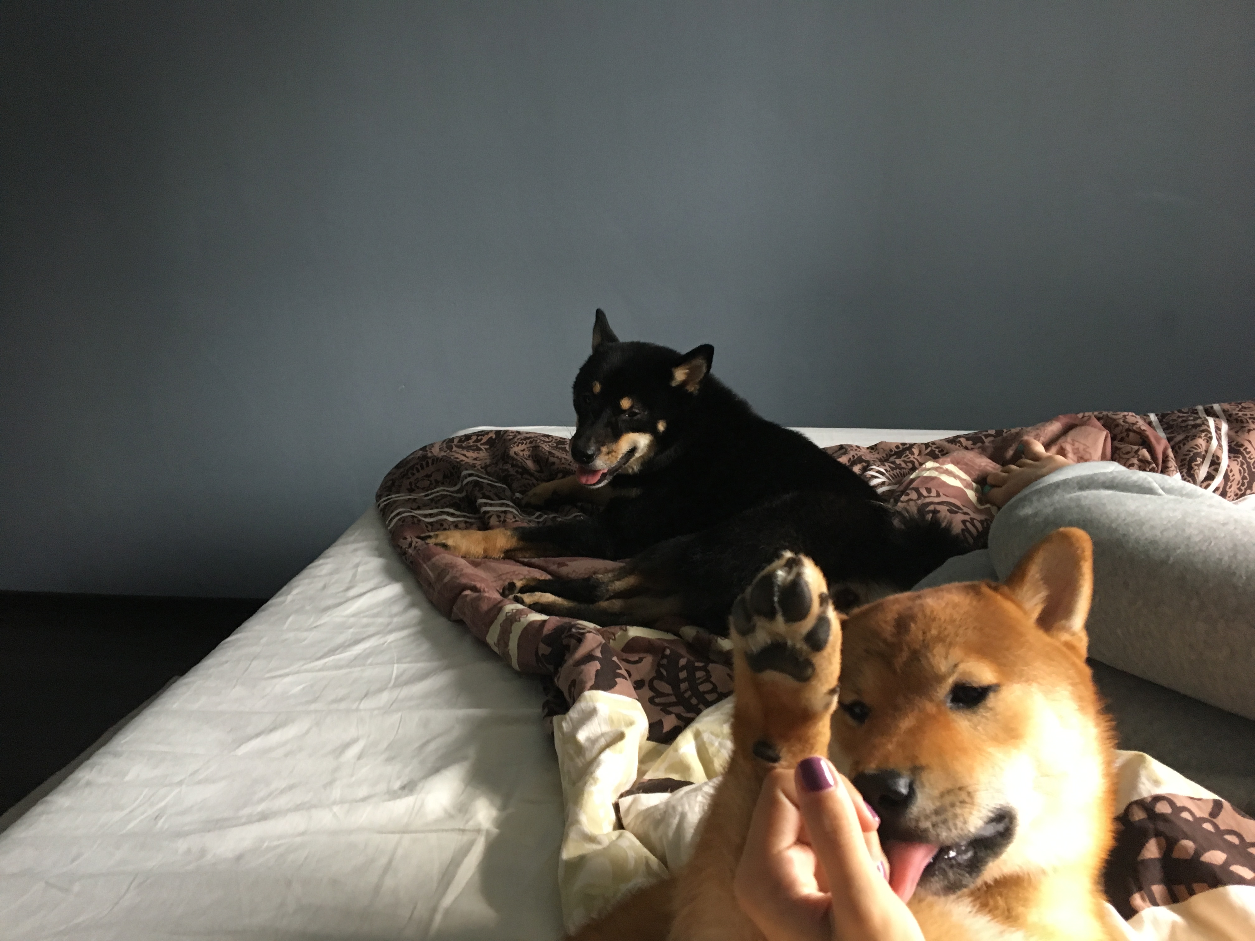 image-14