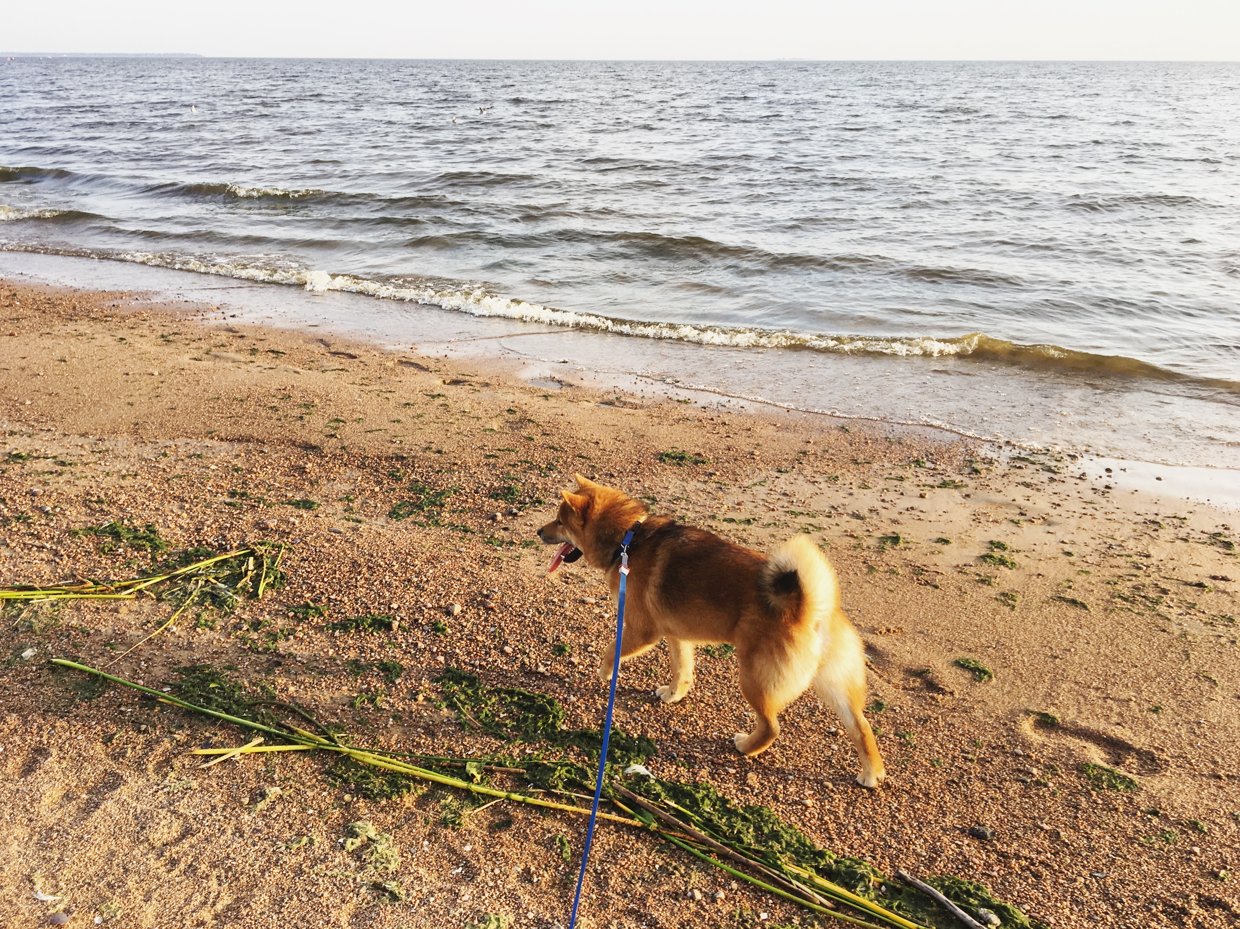 image-15