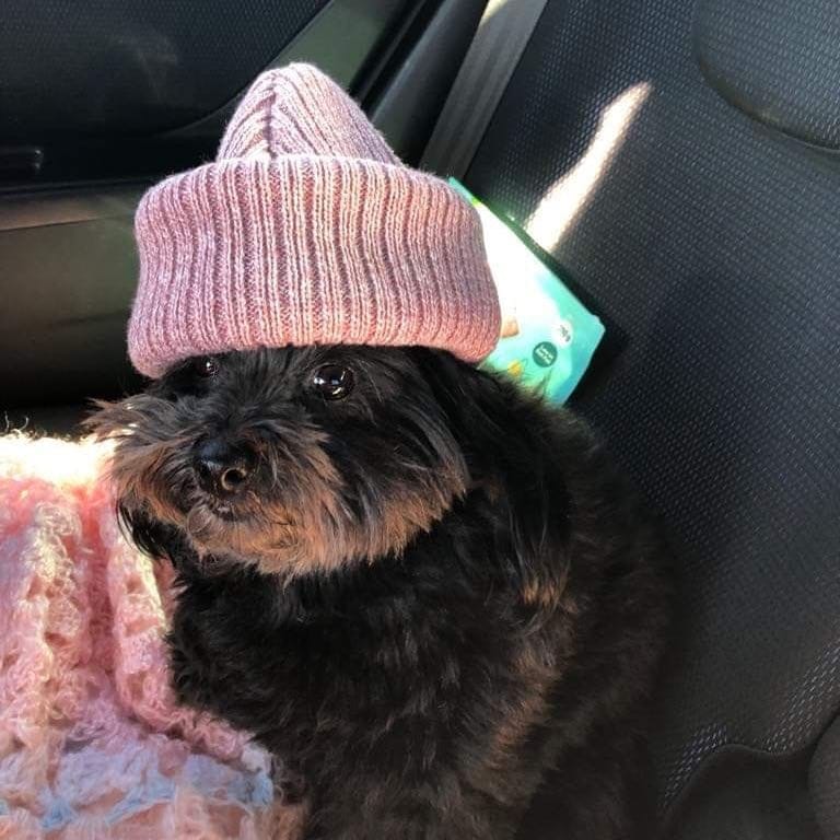 coco