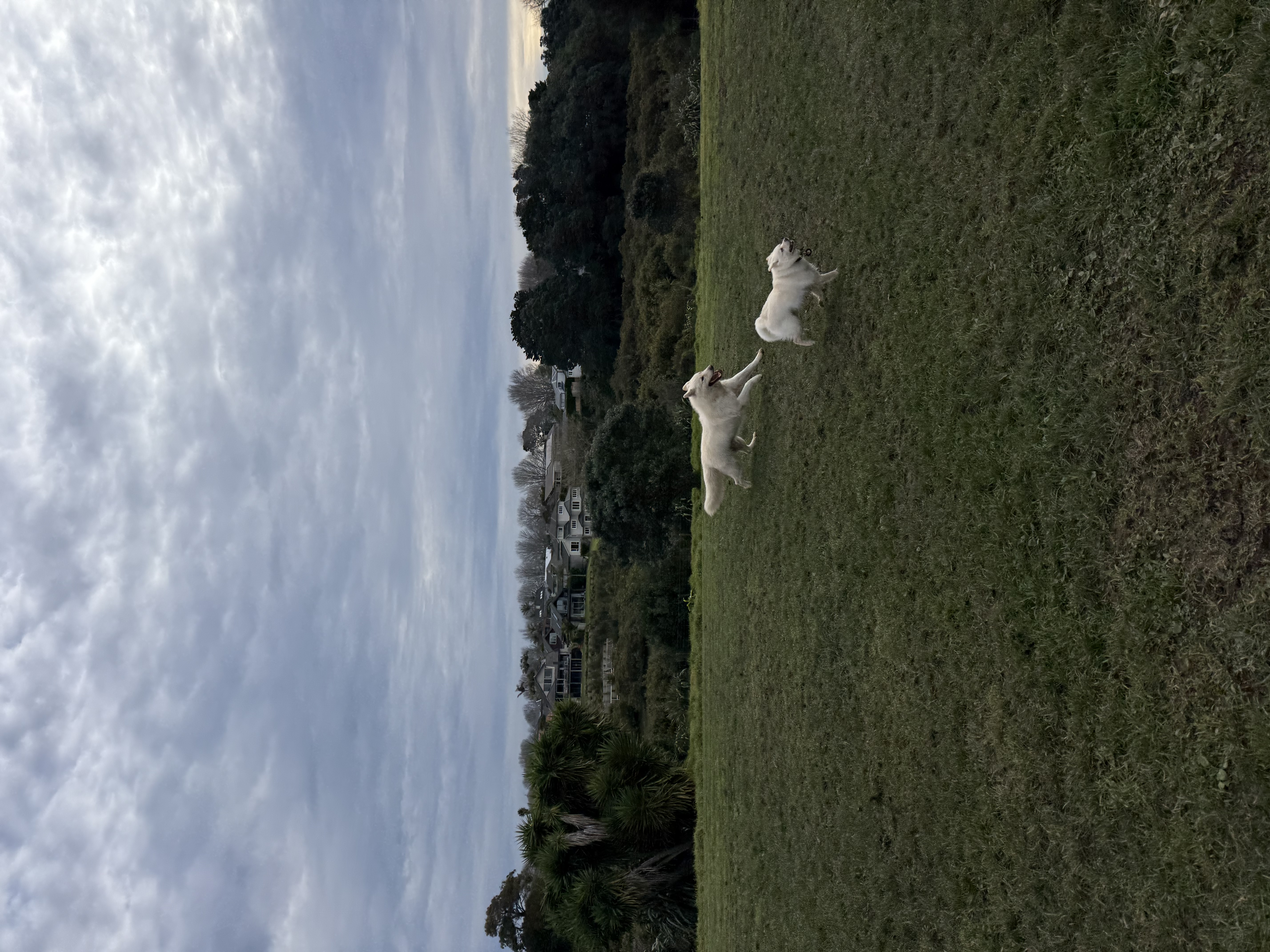 image-19