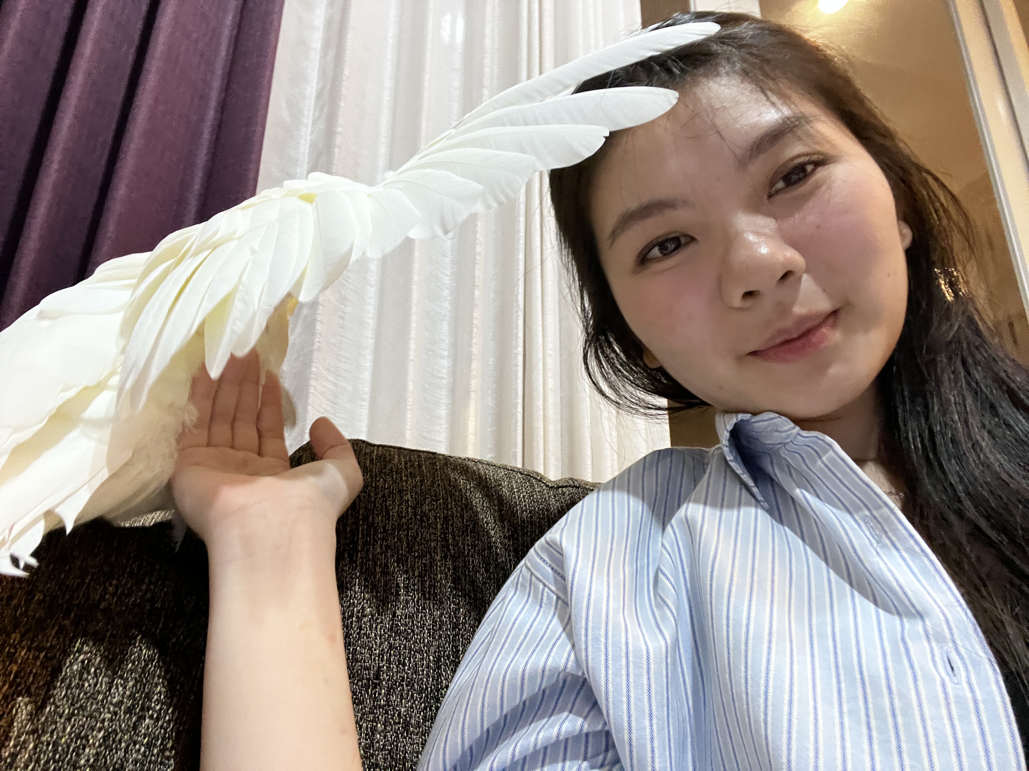 image-4