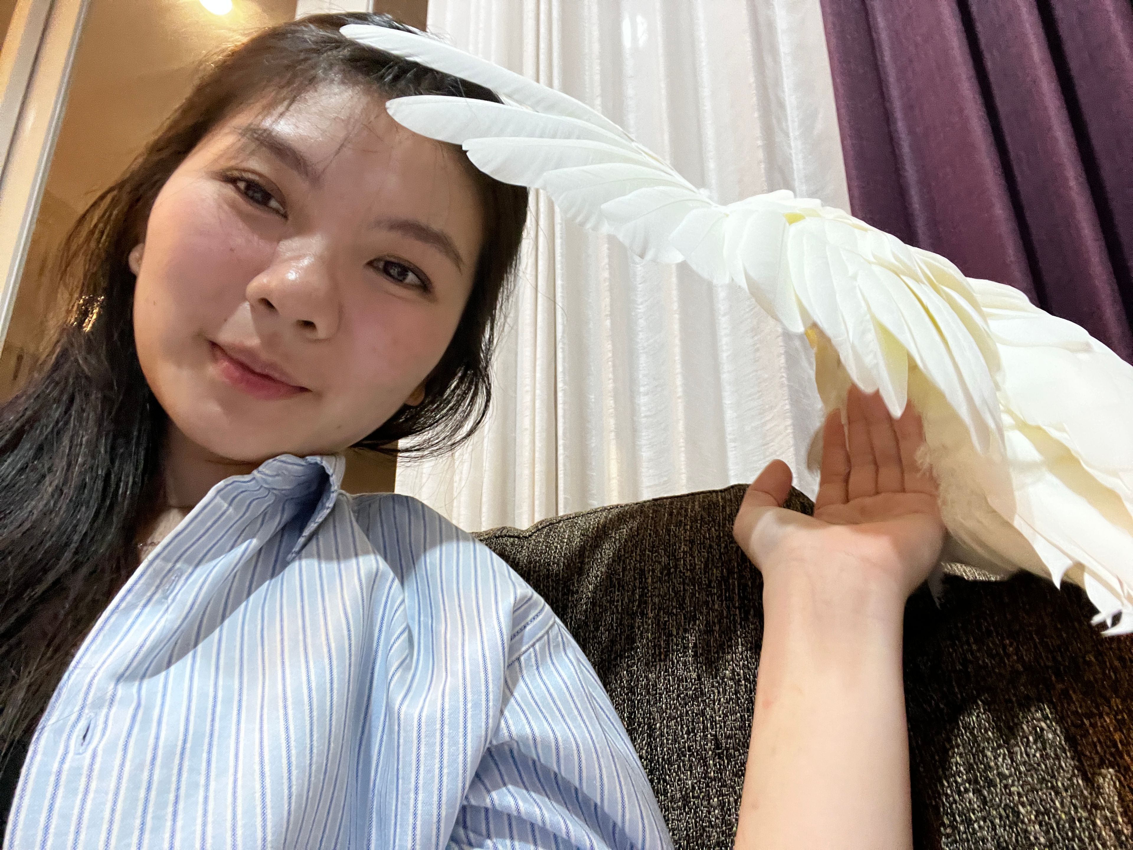 image-4