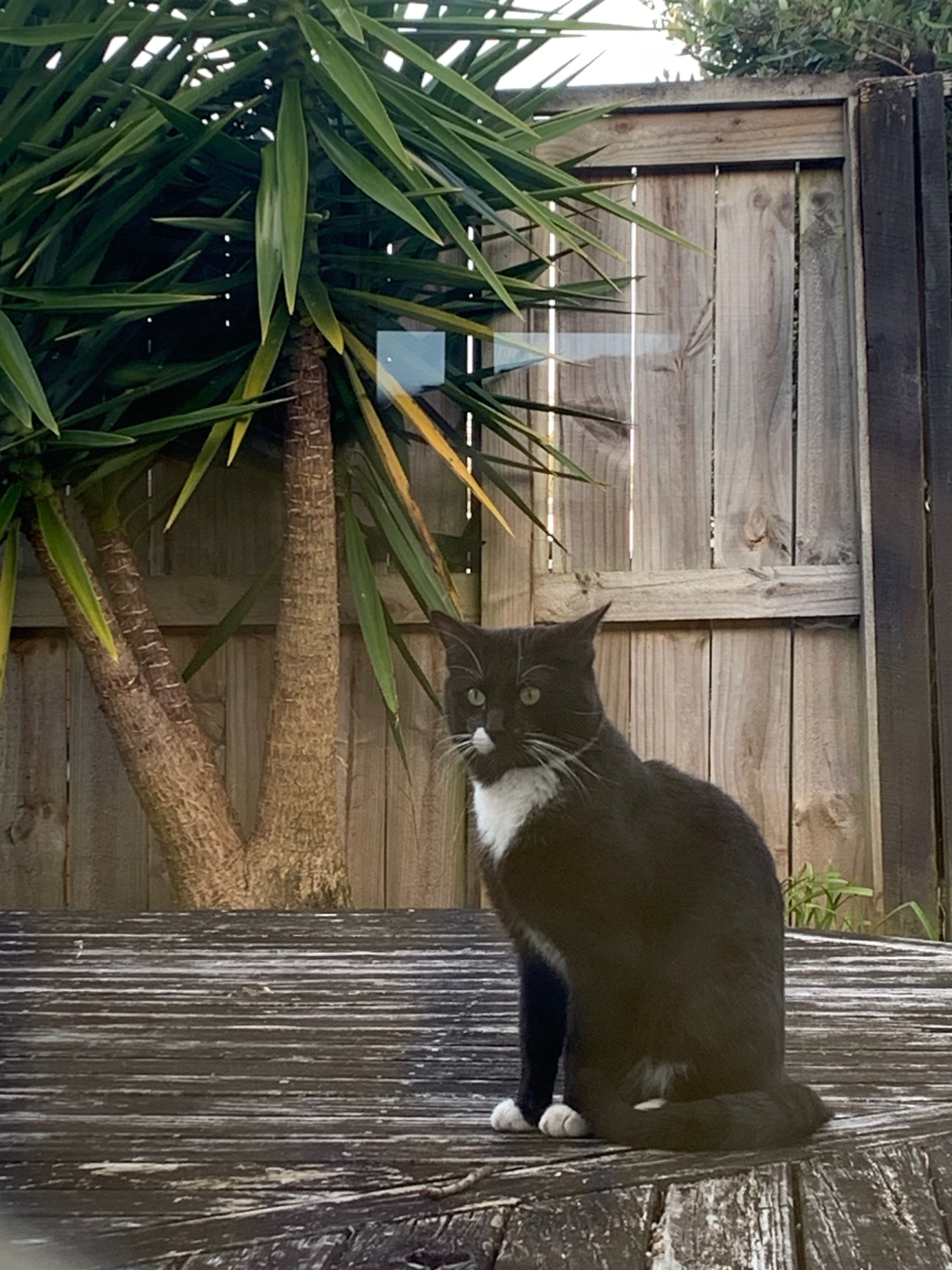 image-5