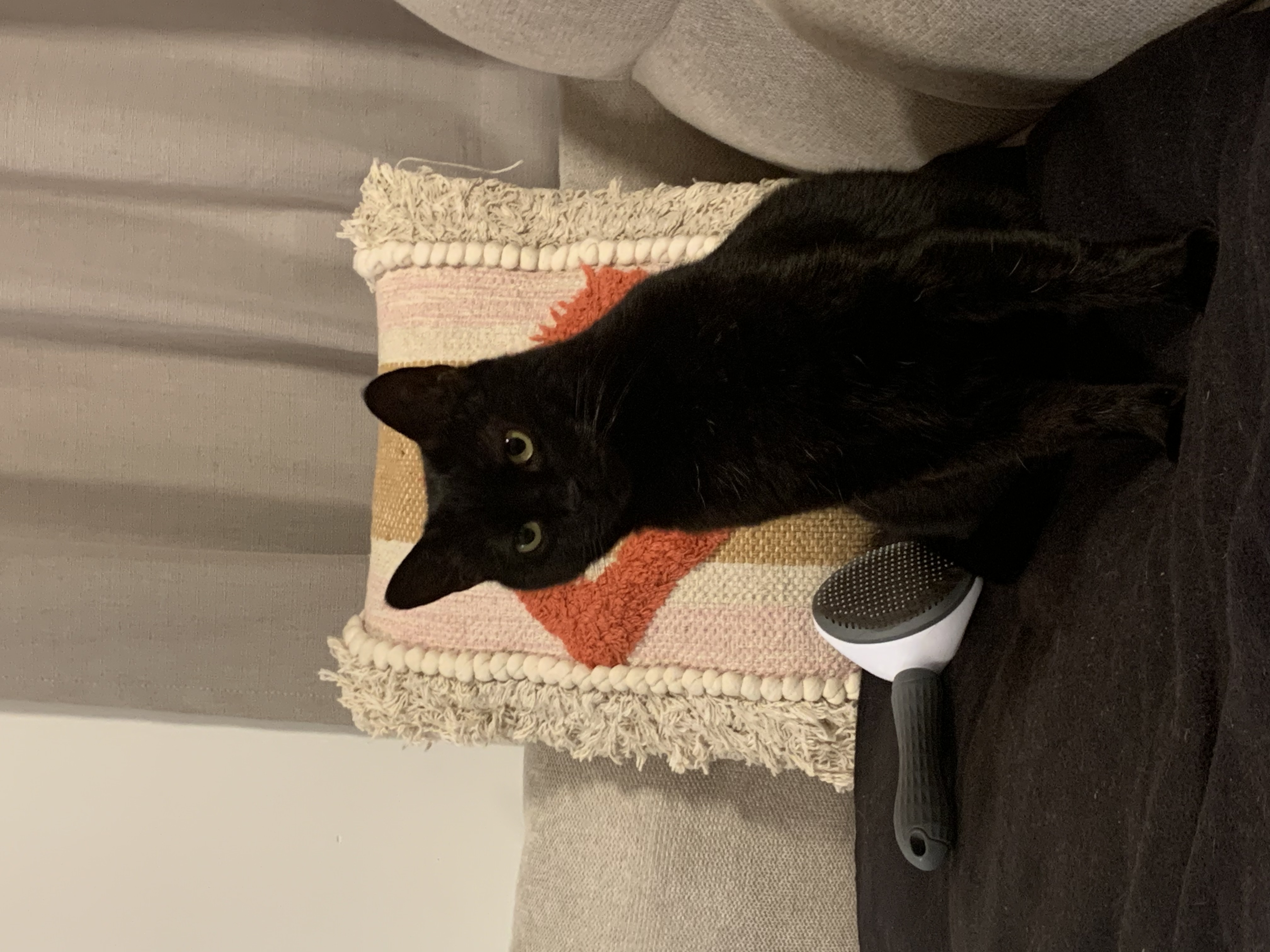 image-7