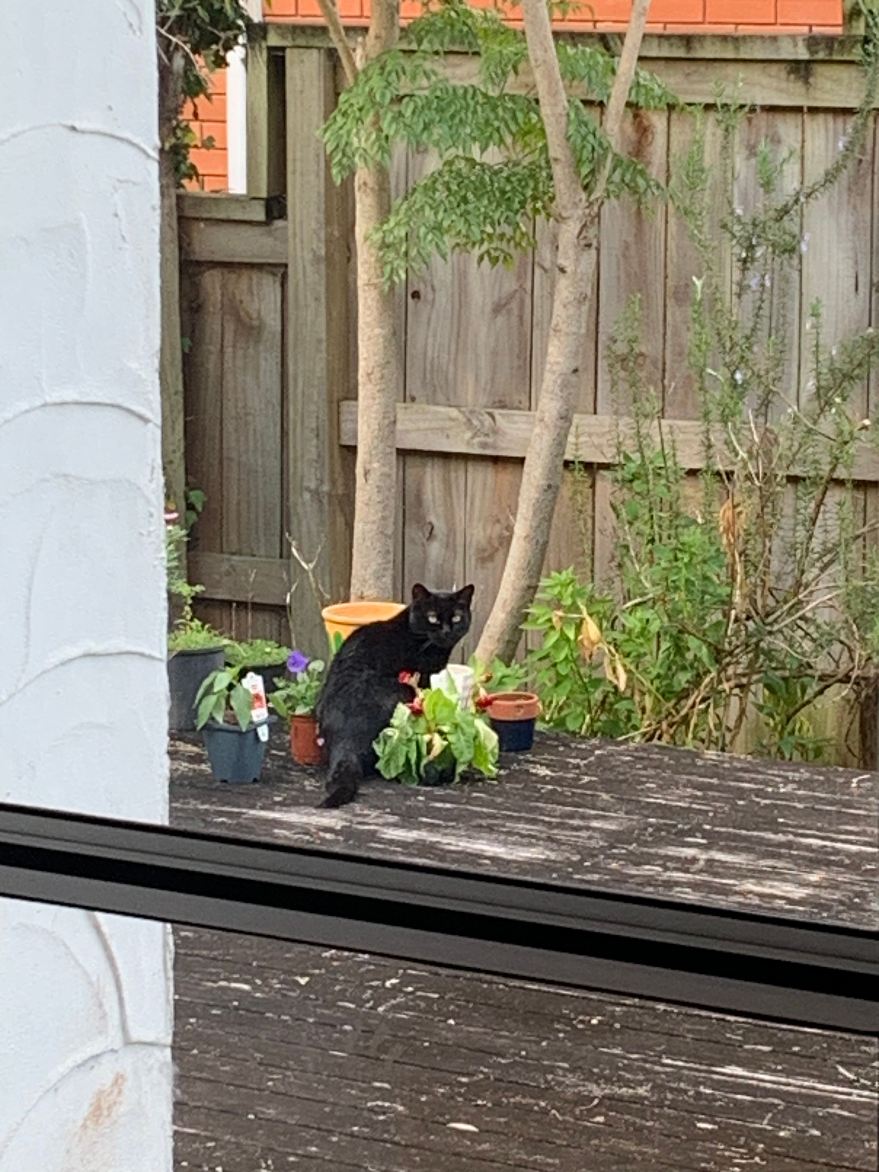 image-33