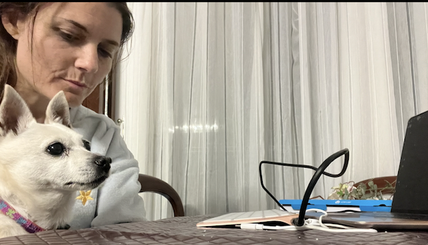 image-6