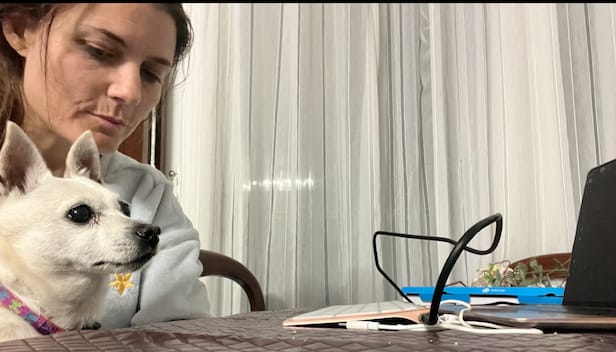 image-6