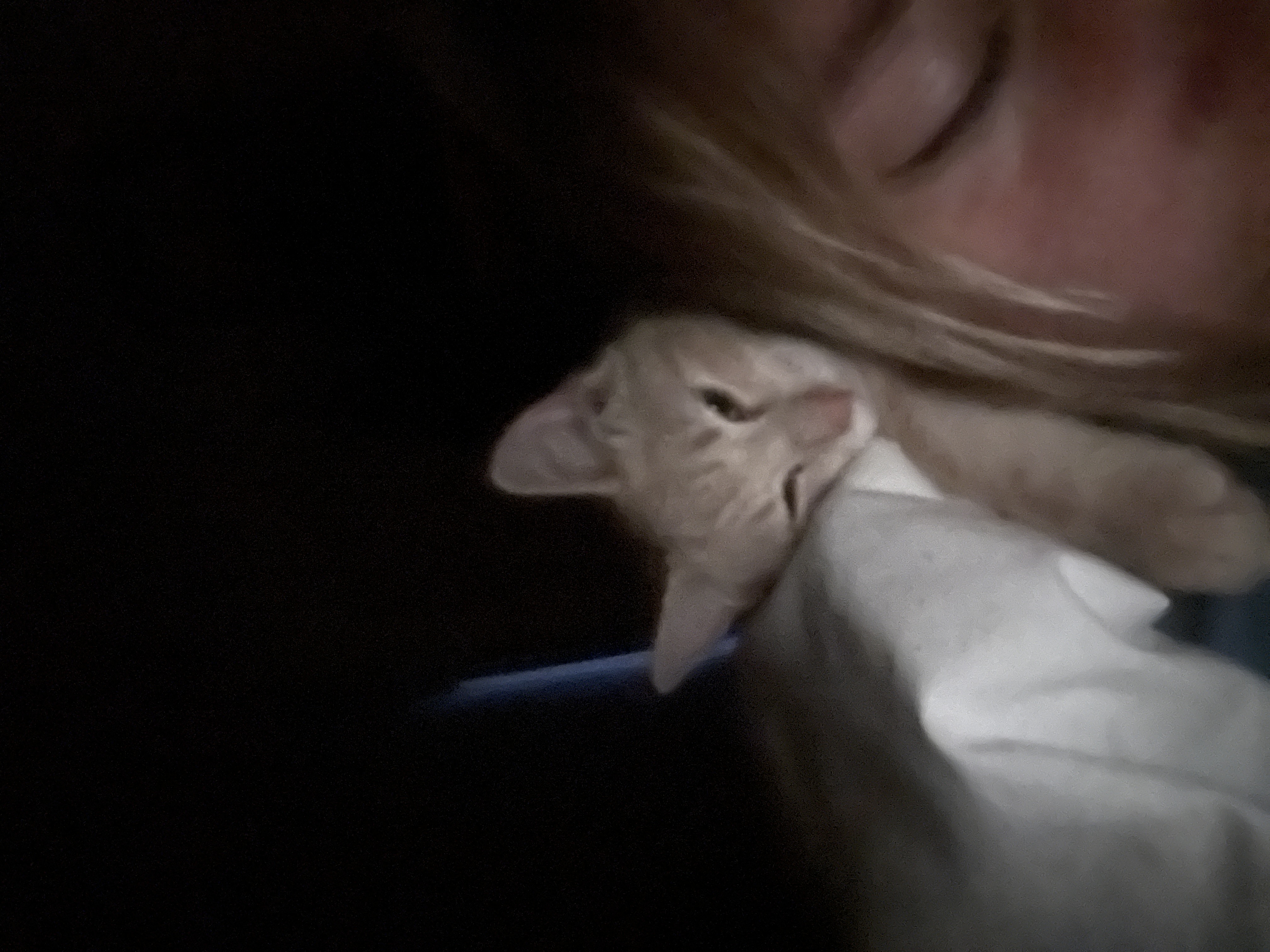 image-7