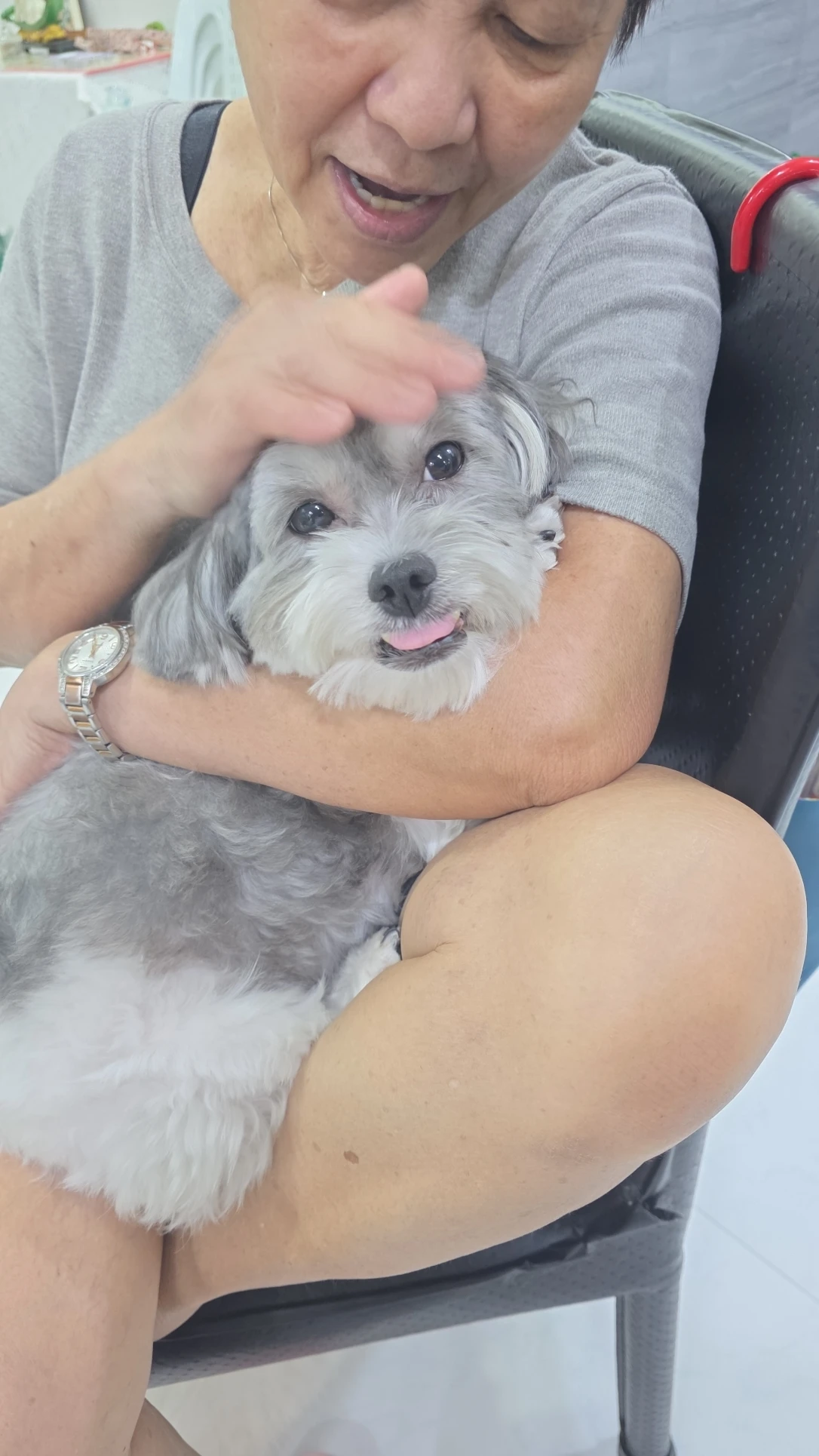 image-7