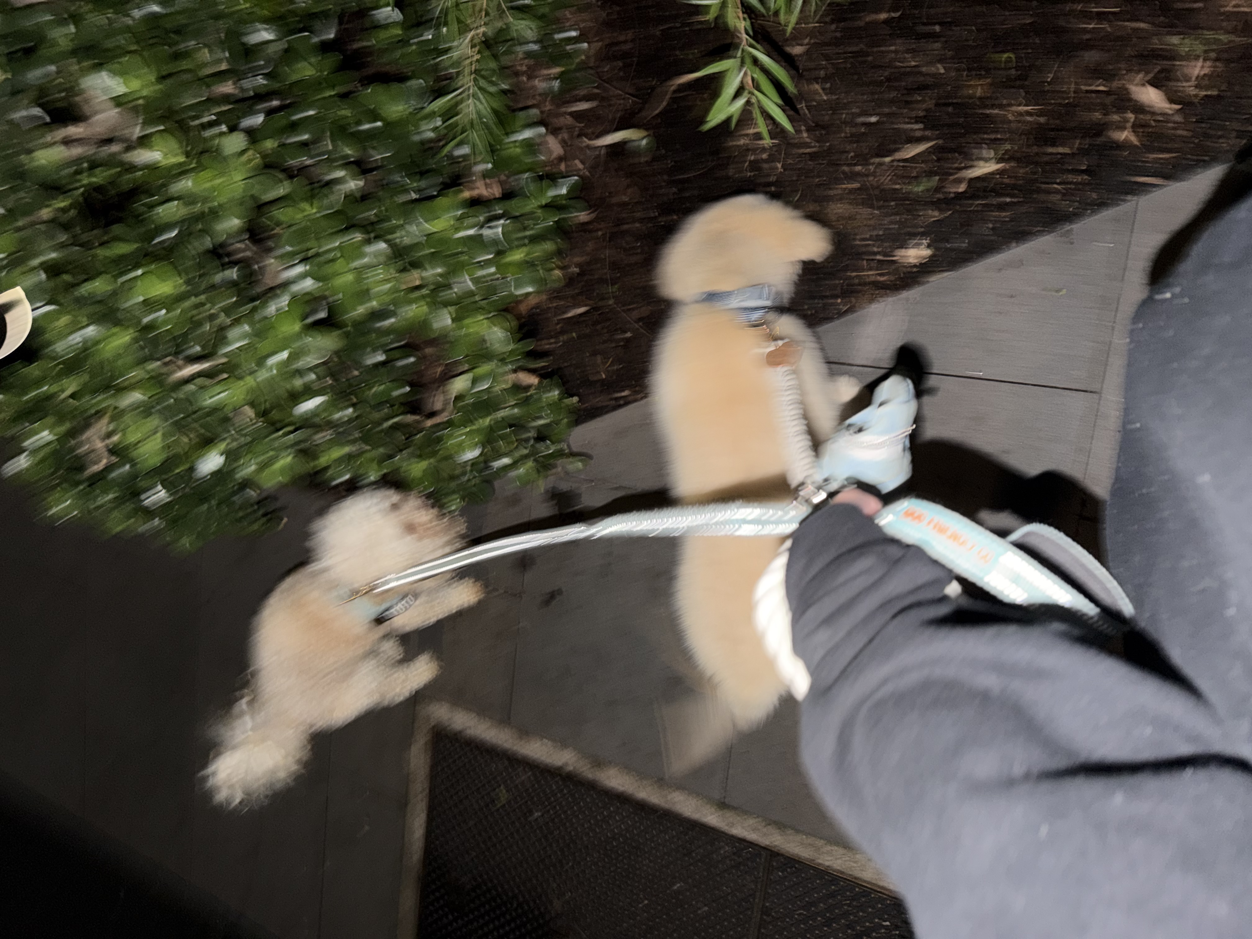 image-6