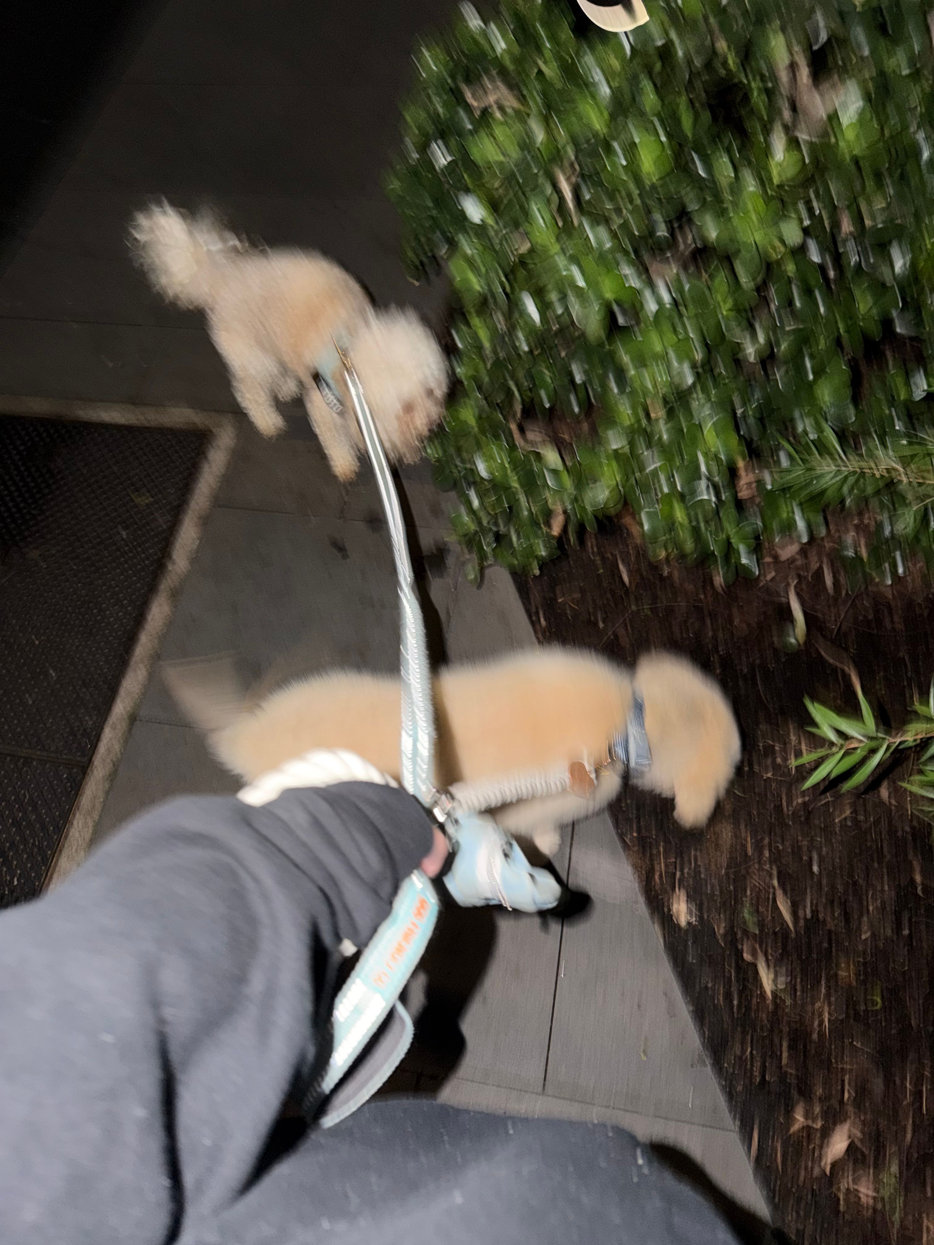 image-6