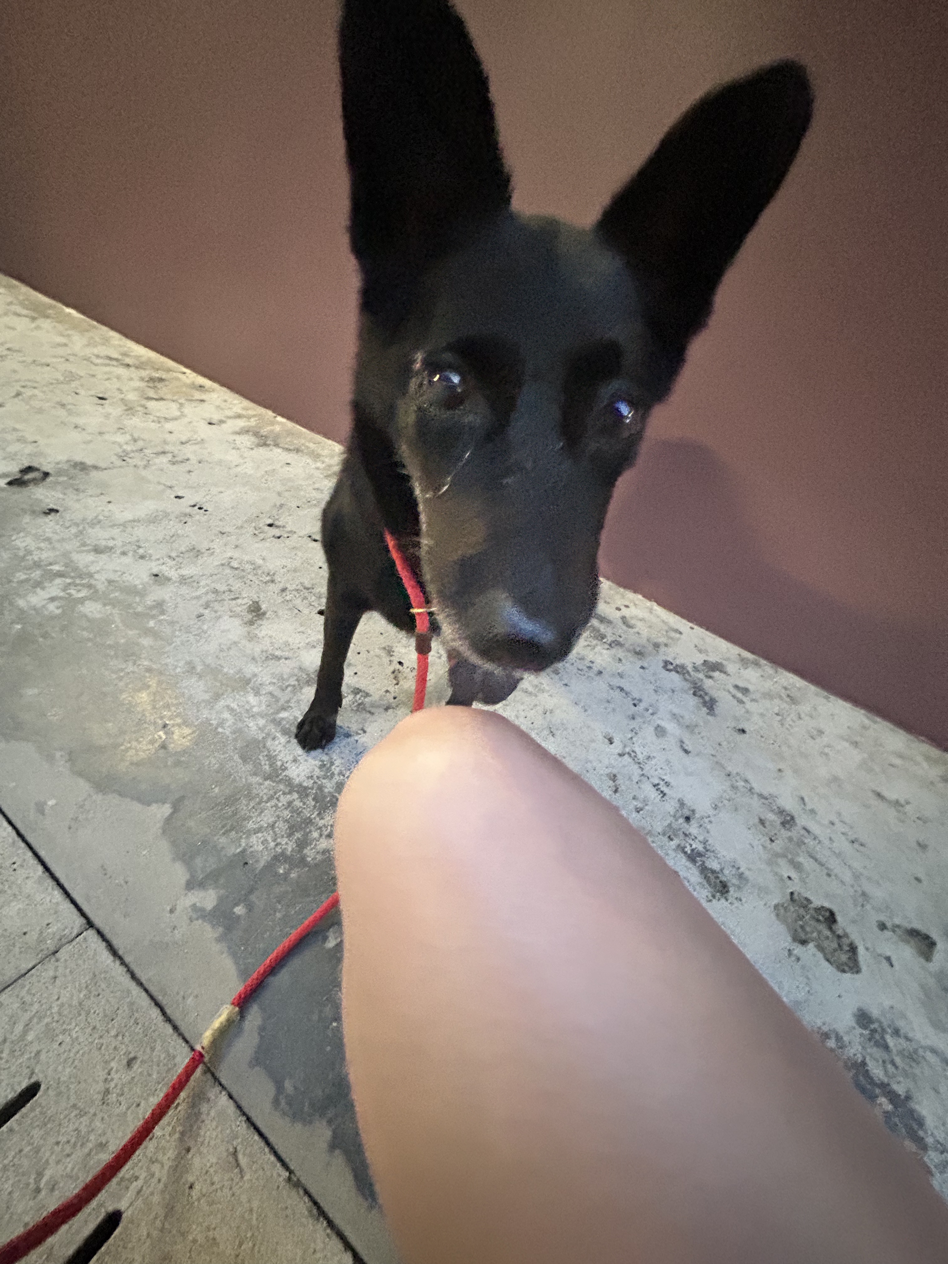 image-7