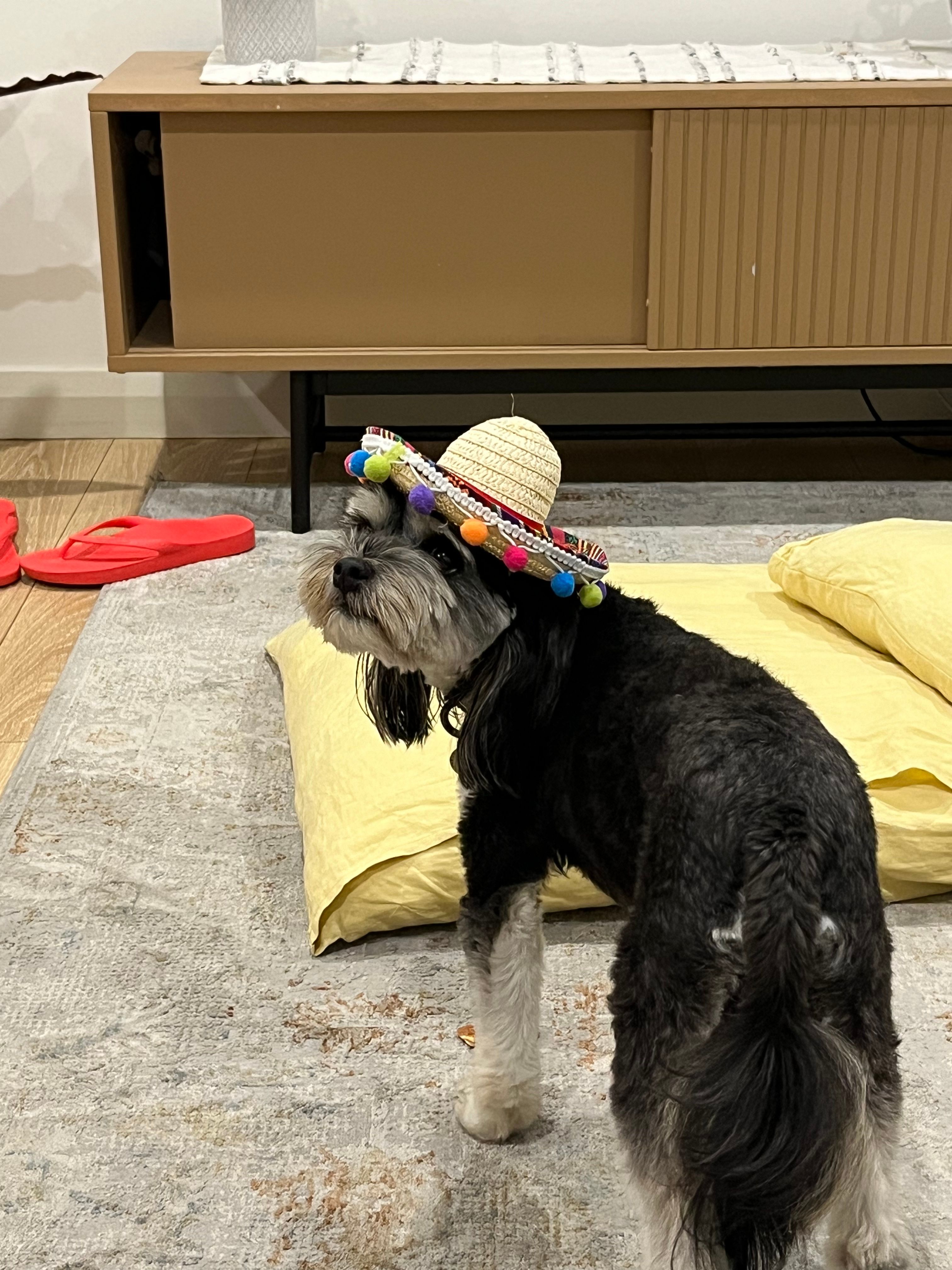 image-1