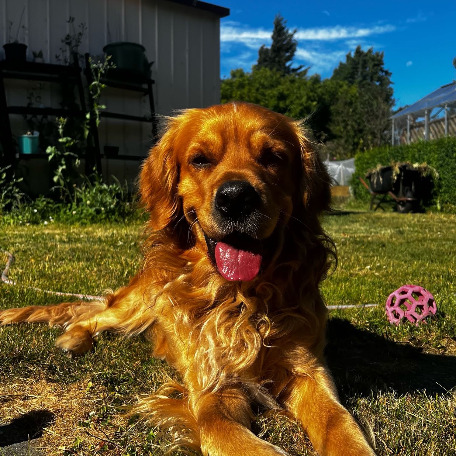 murphy 