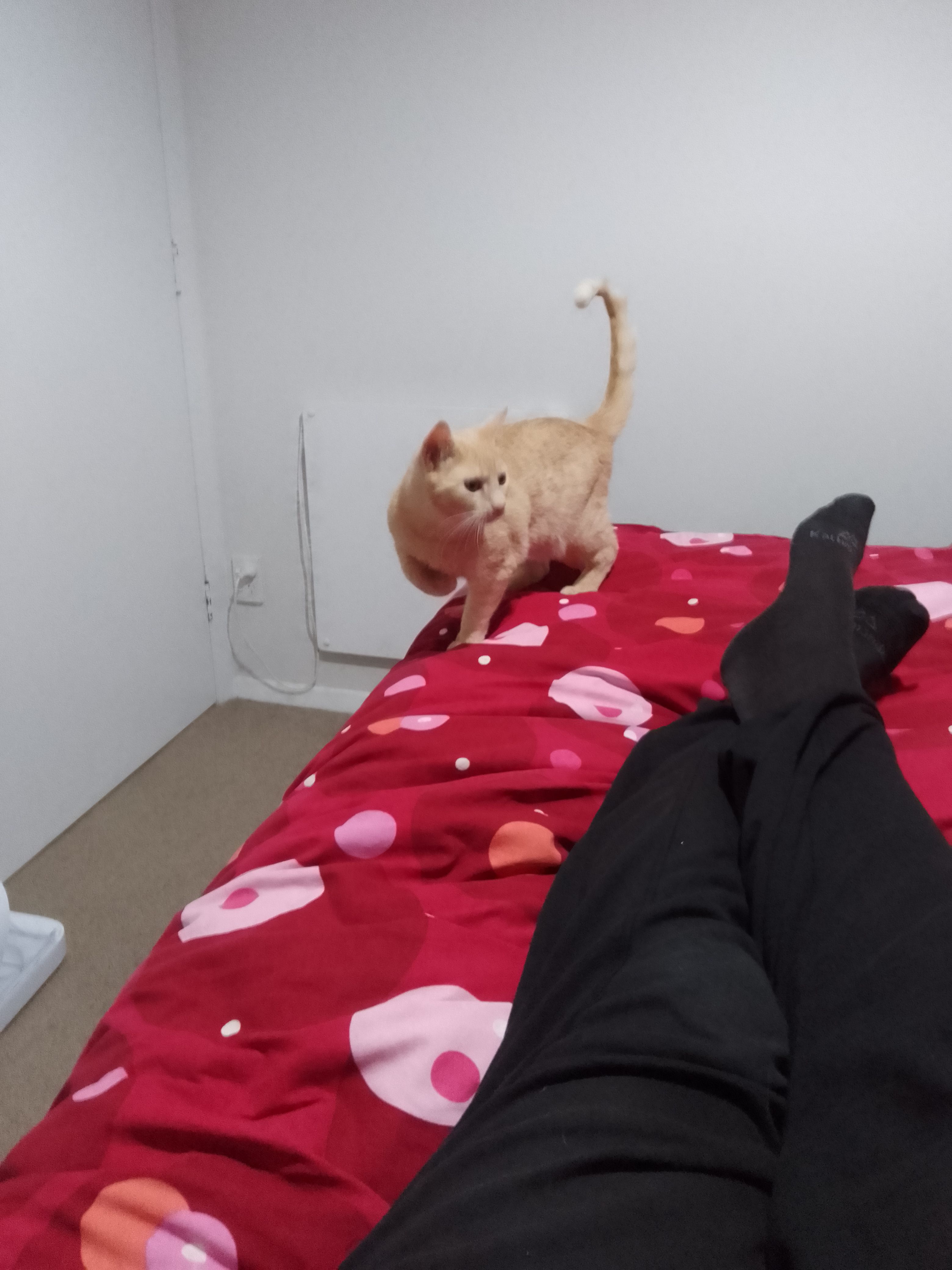image-6