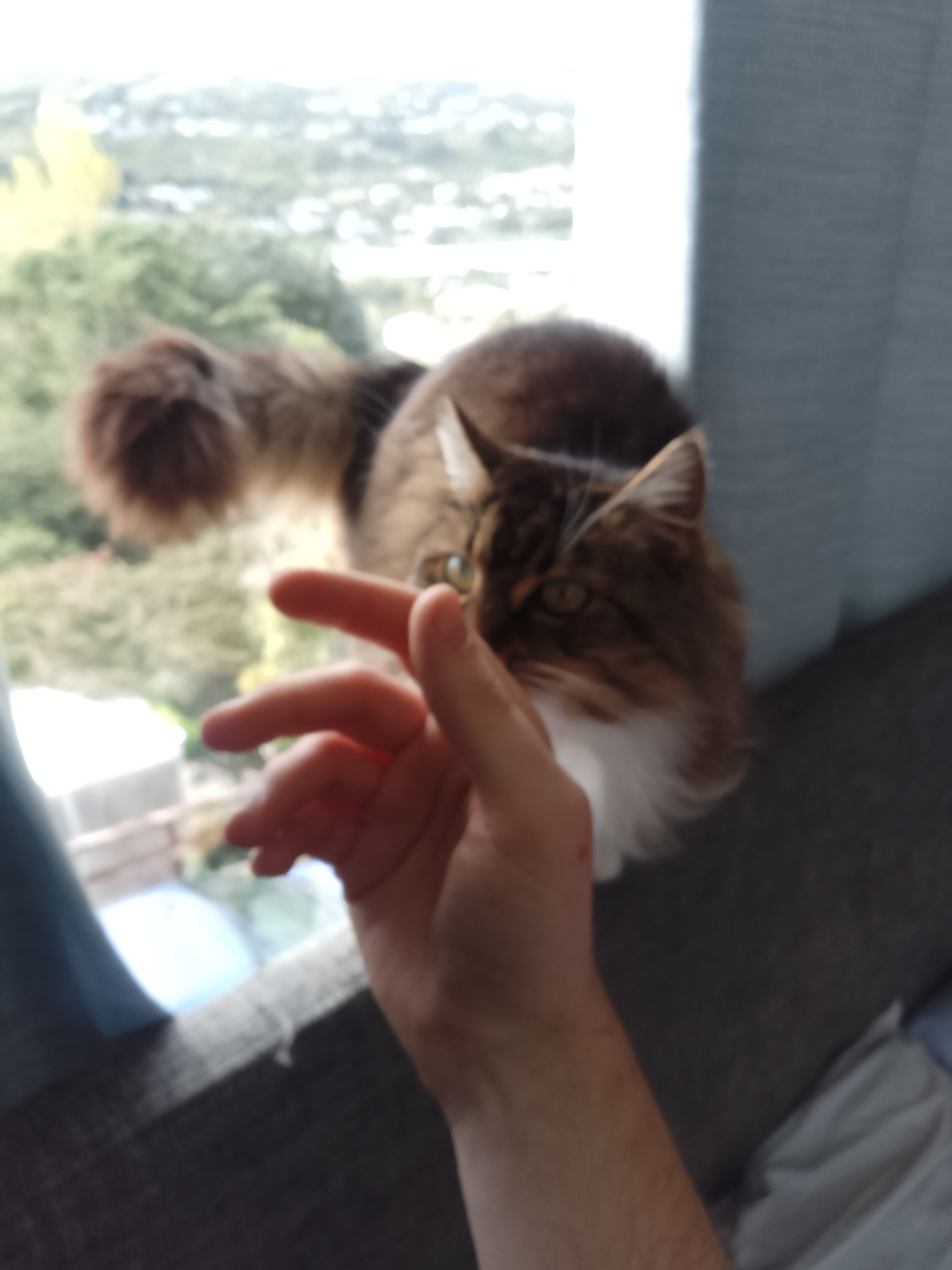 image-5