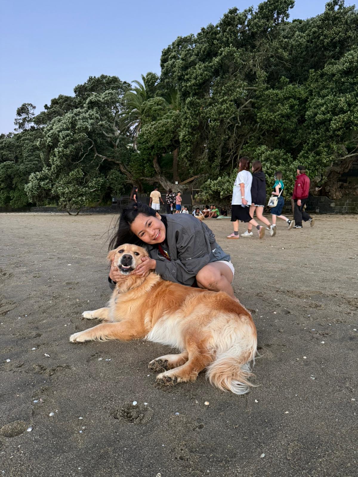 image-8