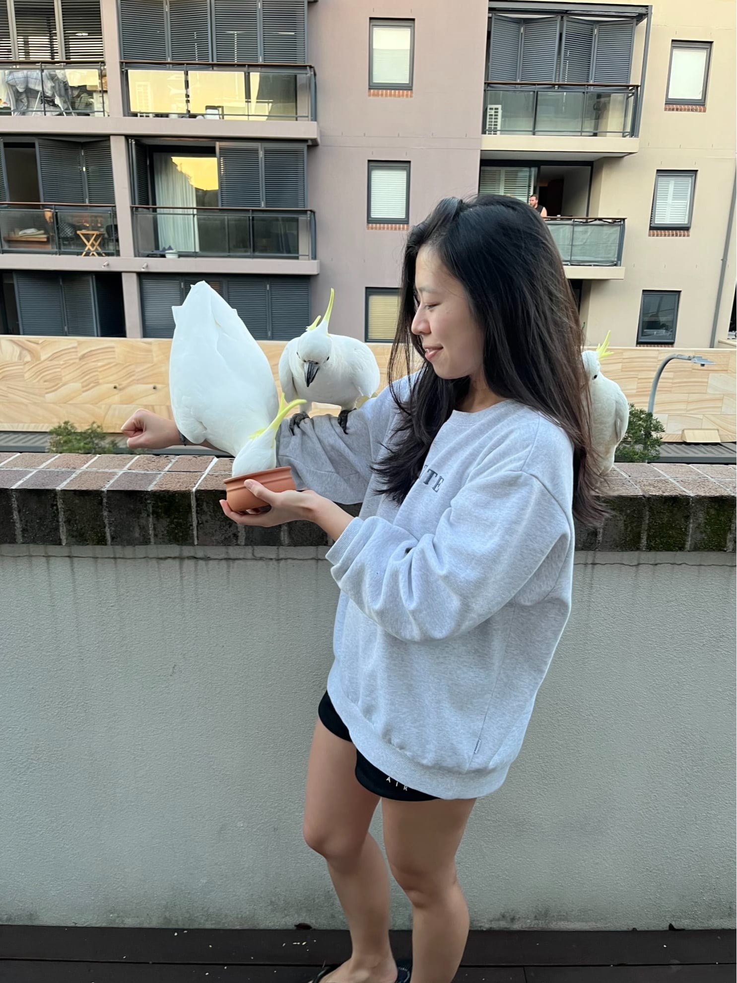 image-10