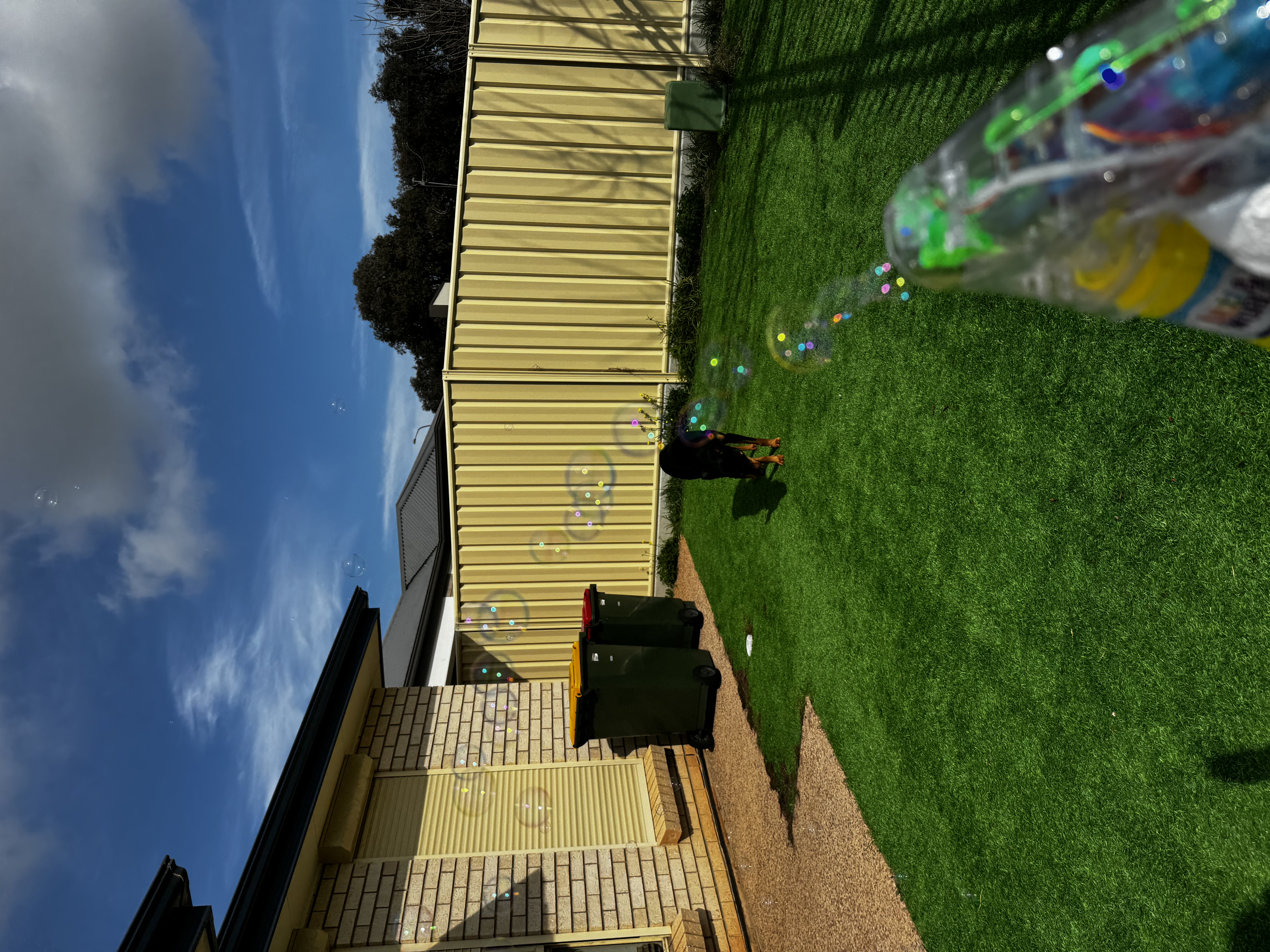 image-8