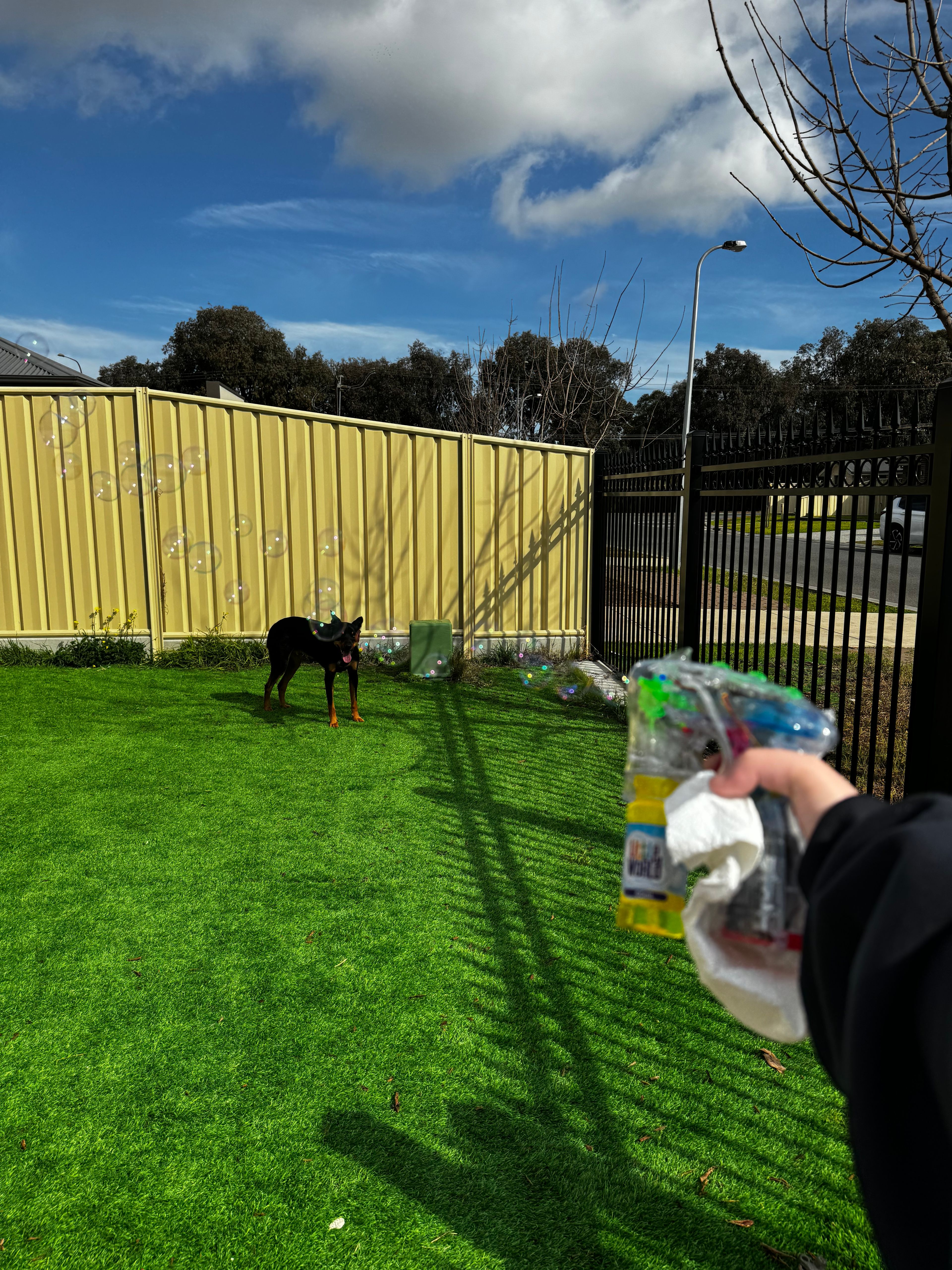 image-7
