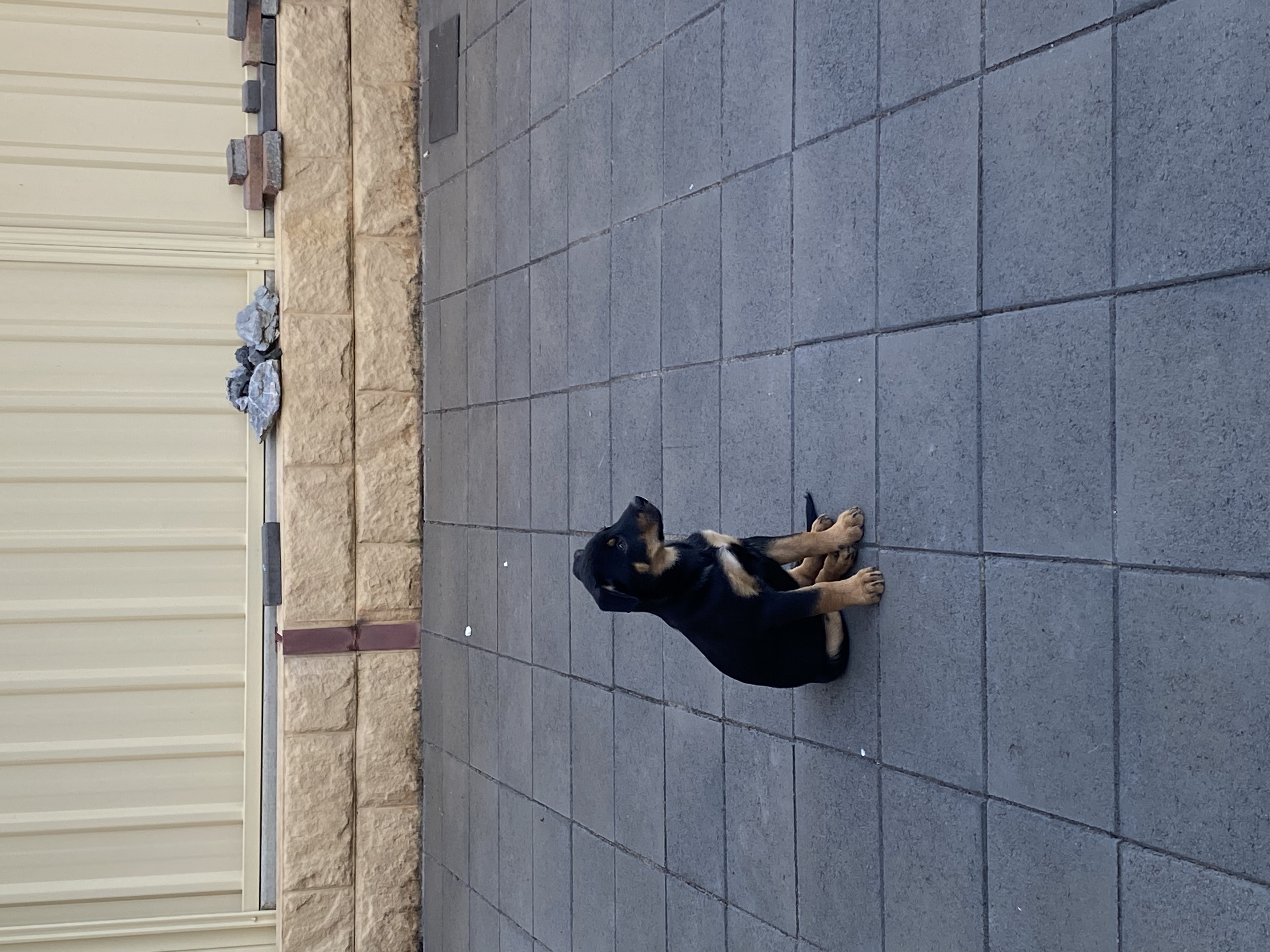 image-6