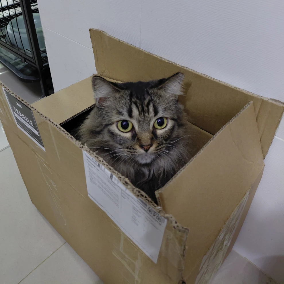 Tiramisu (Mimi)