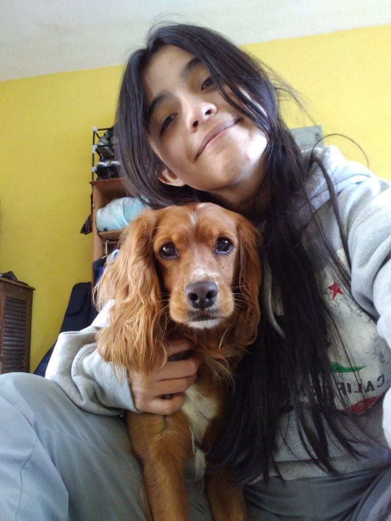 image-4