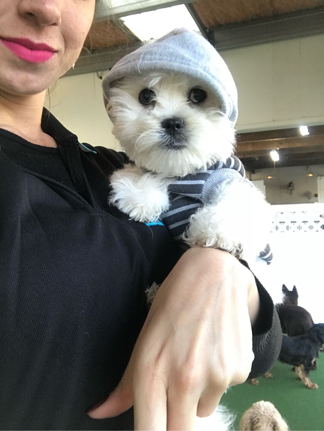 image-6