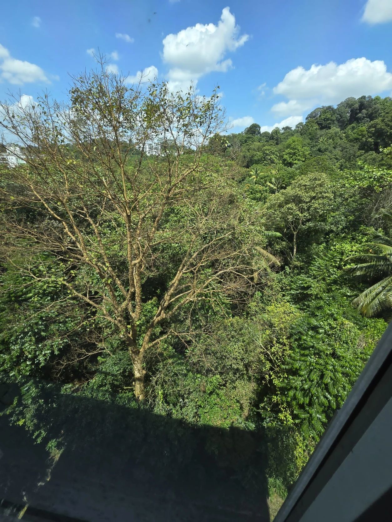 image-20