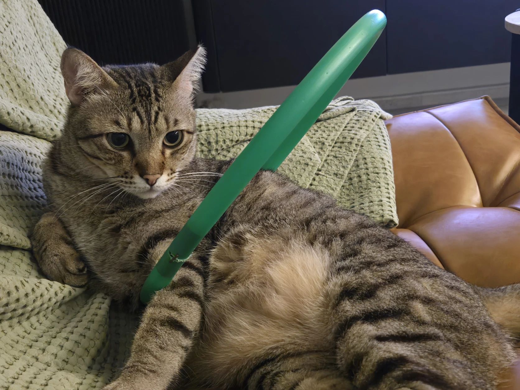 image-5