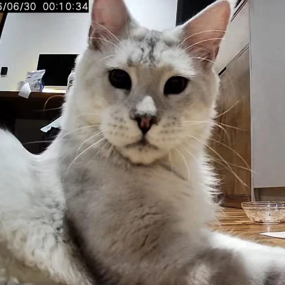 Oscar