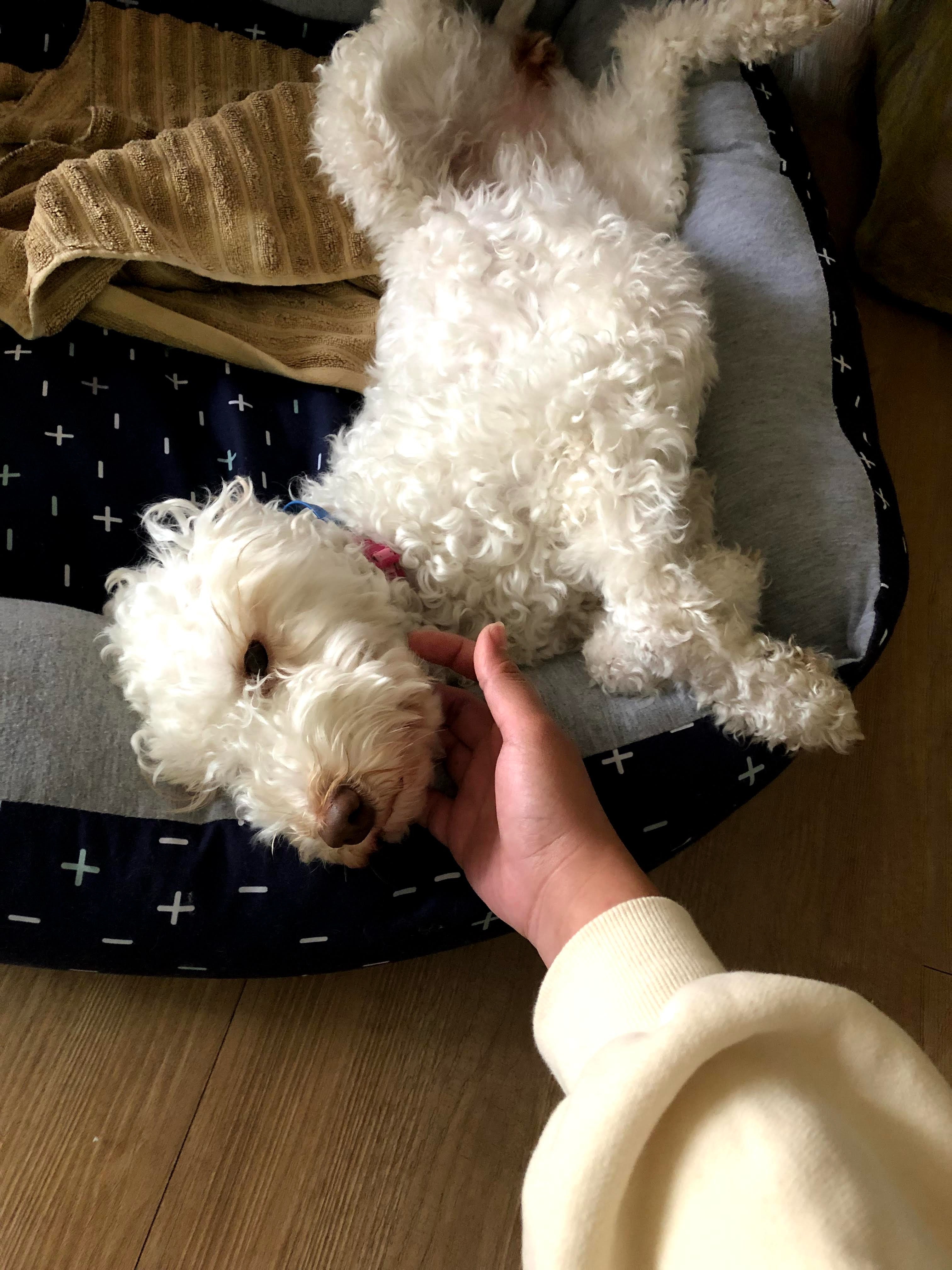 image-8