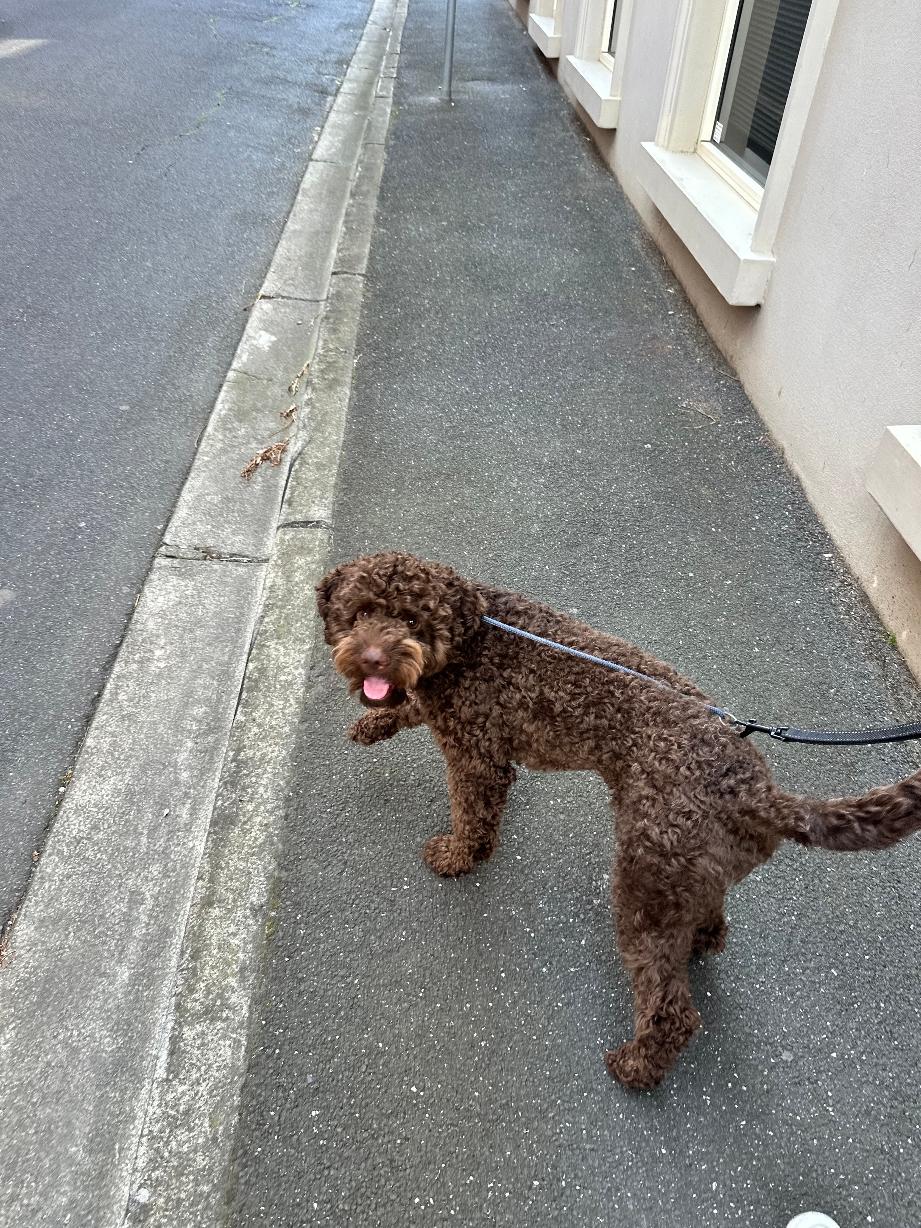 image-5