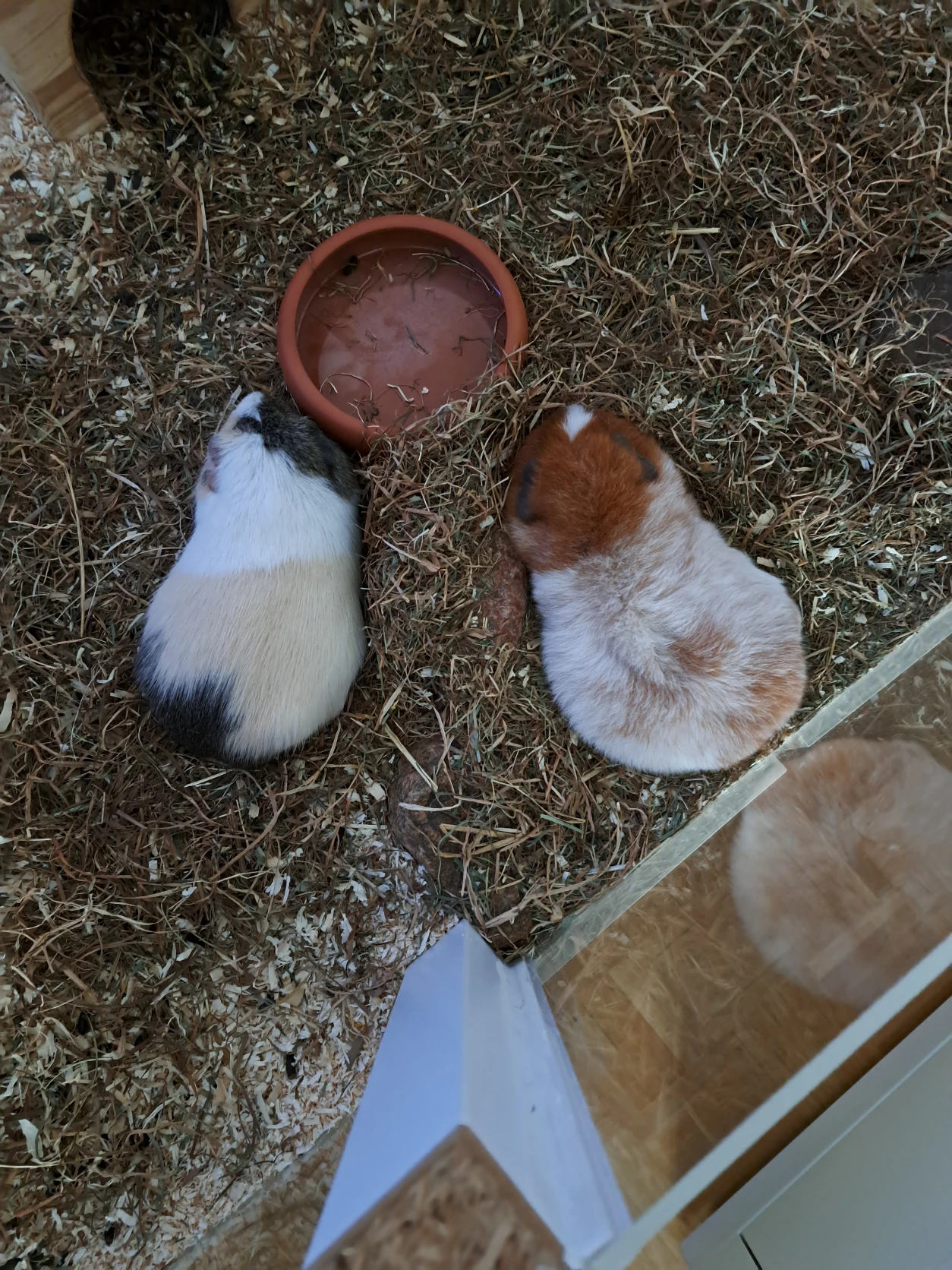 image-11
