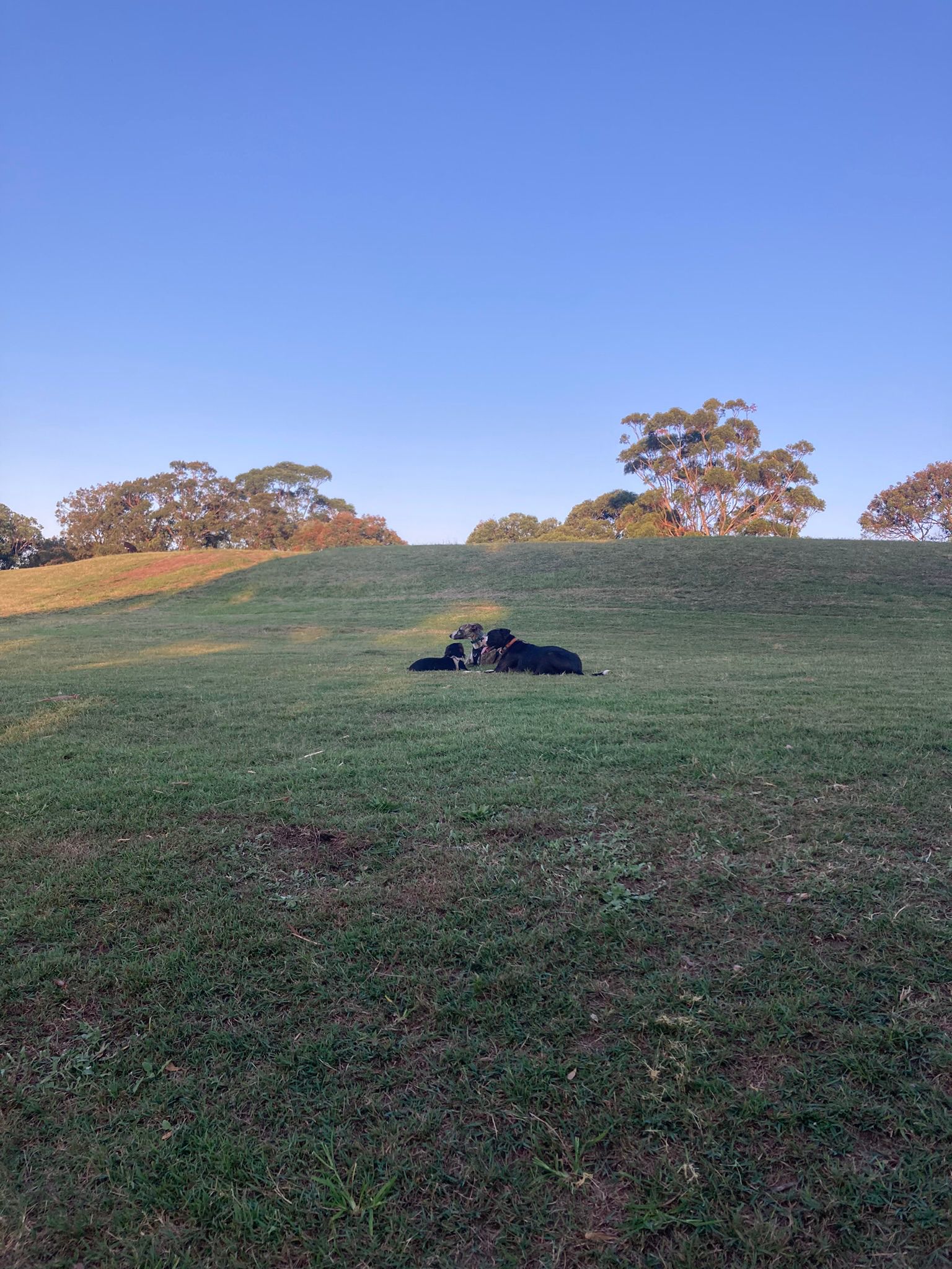 image-8
