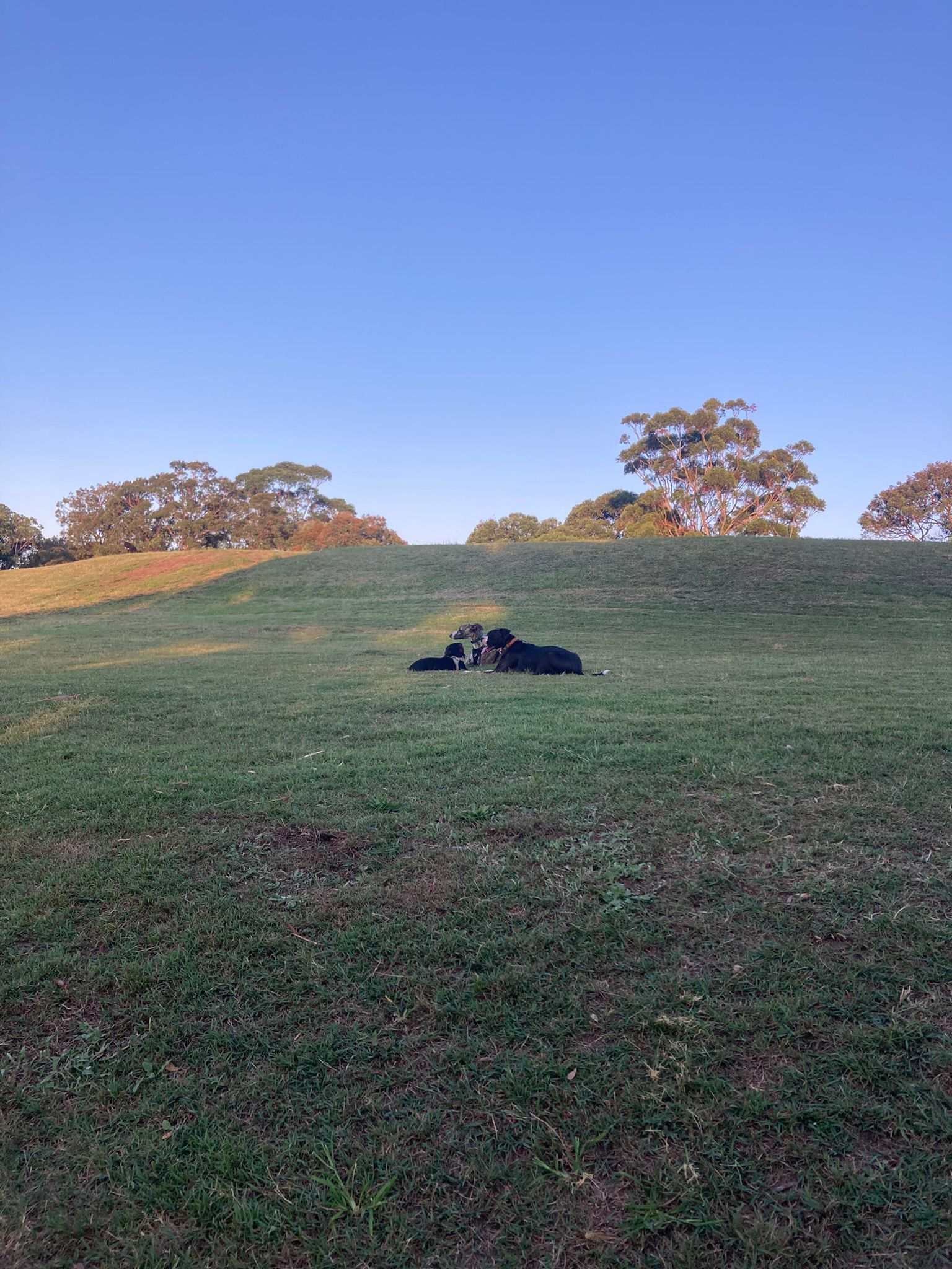 image-8