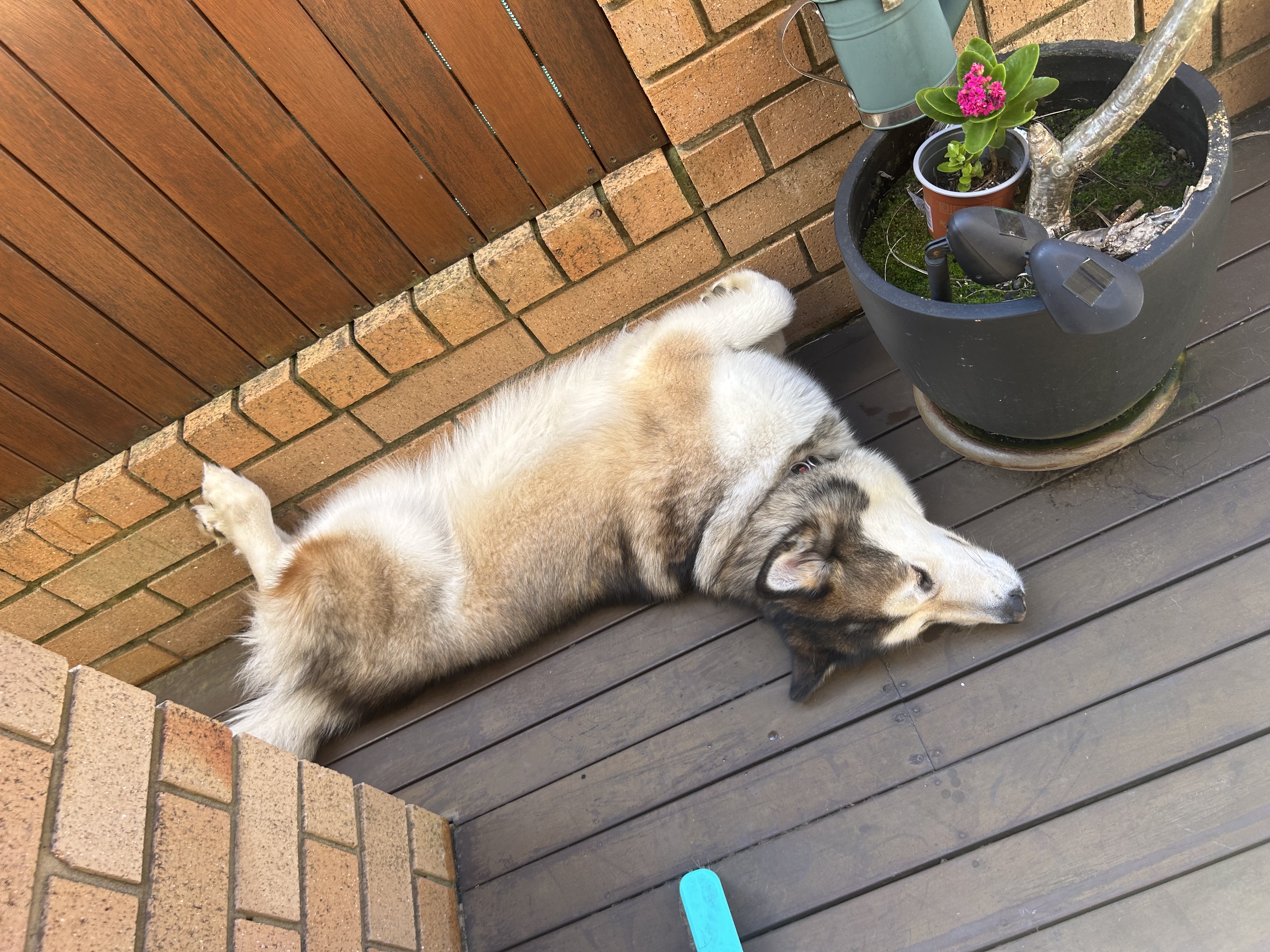 image-11