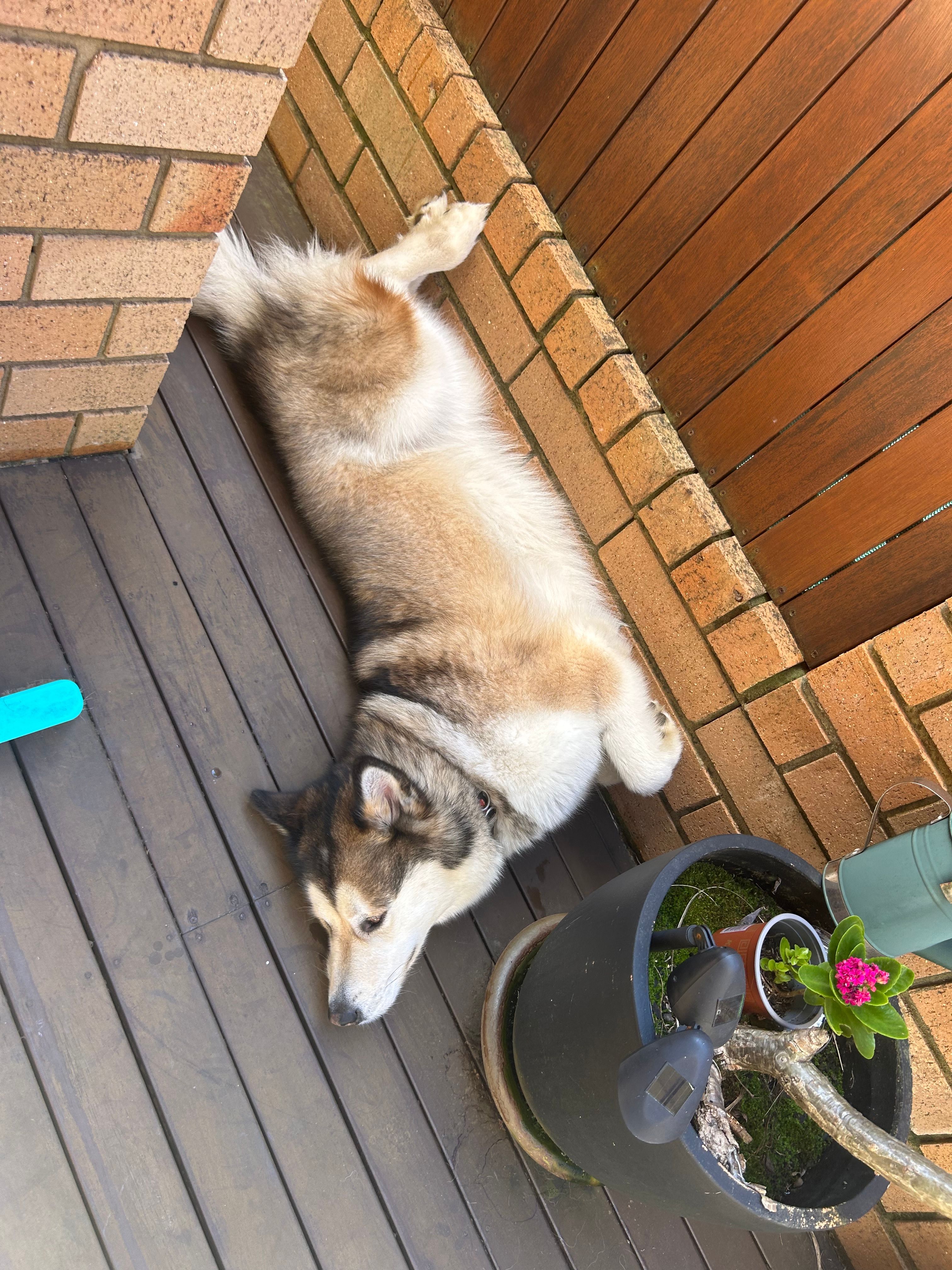 image-11