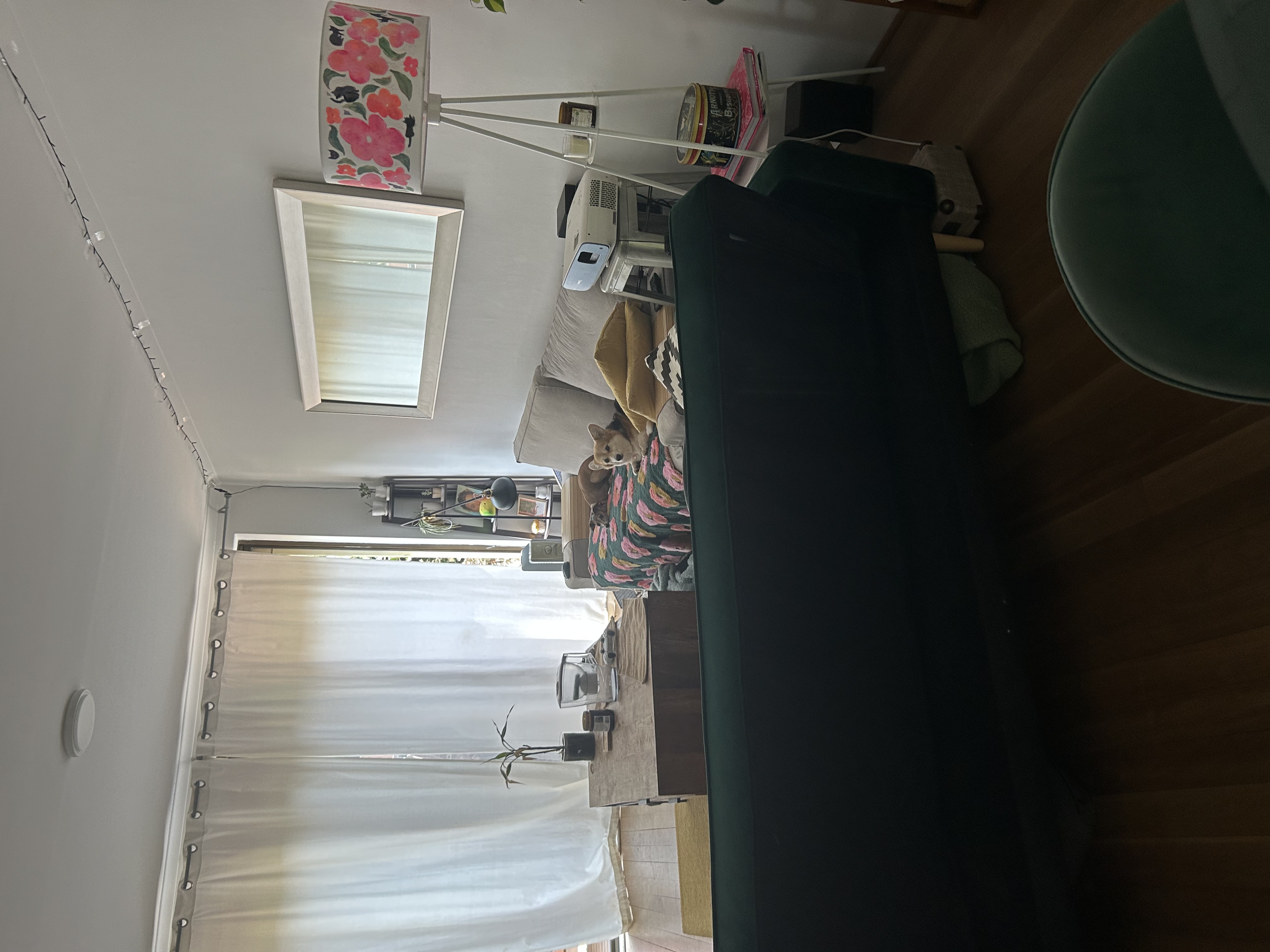 image-12