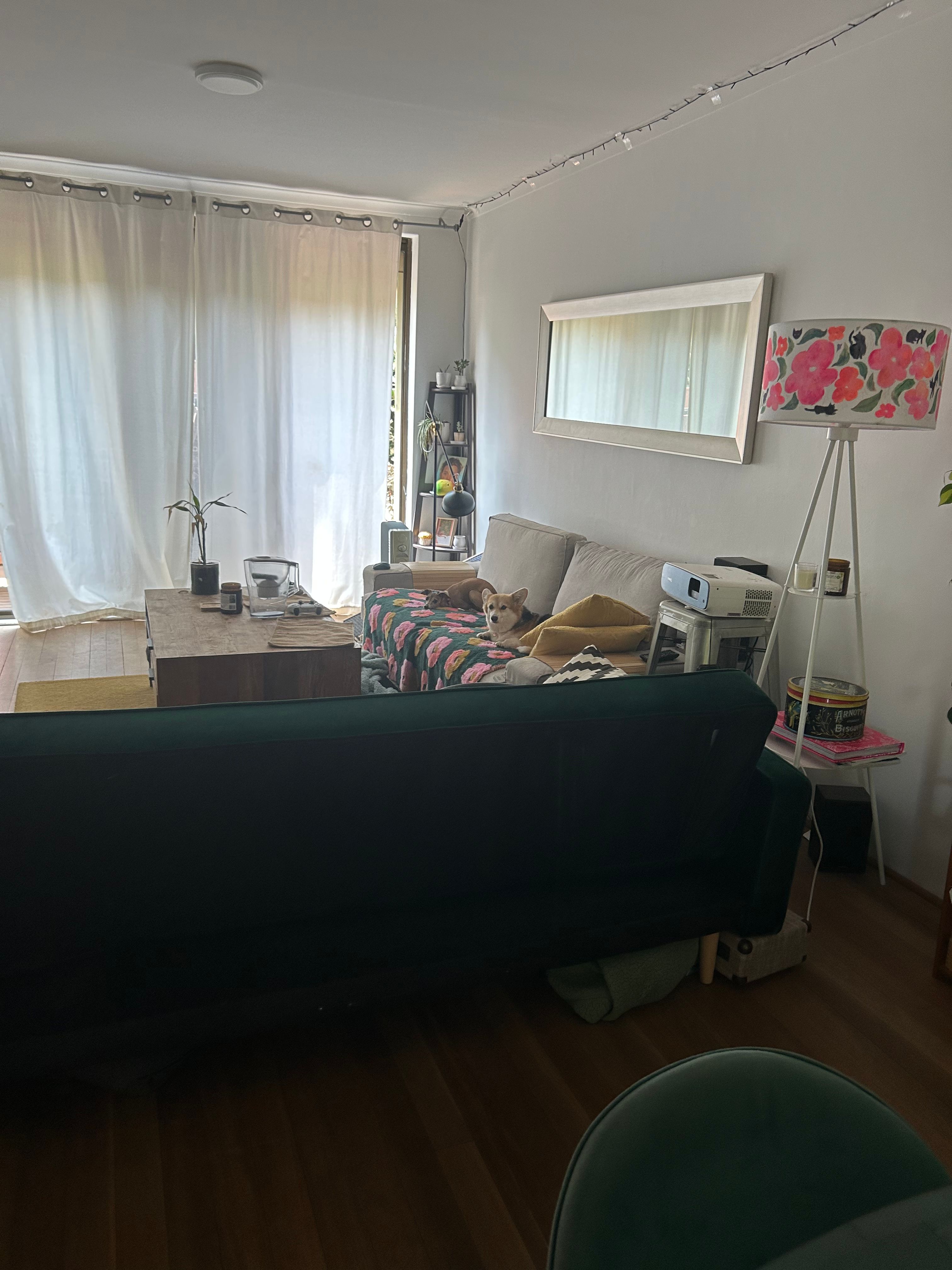 image-12